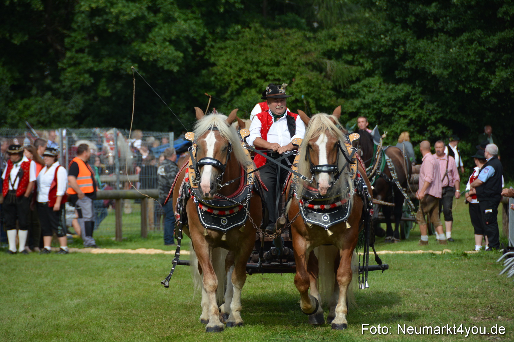 Pferdeschau JURA Volksfest 180814 0142