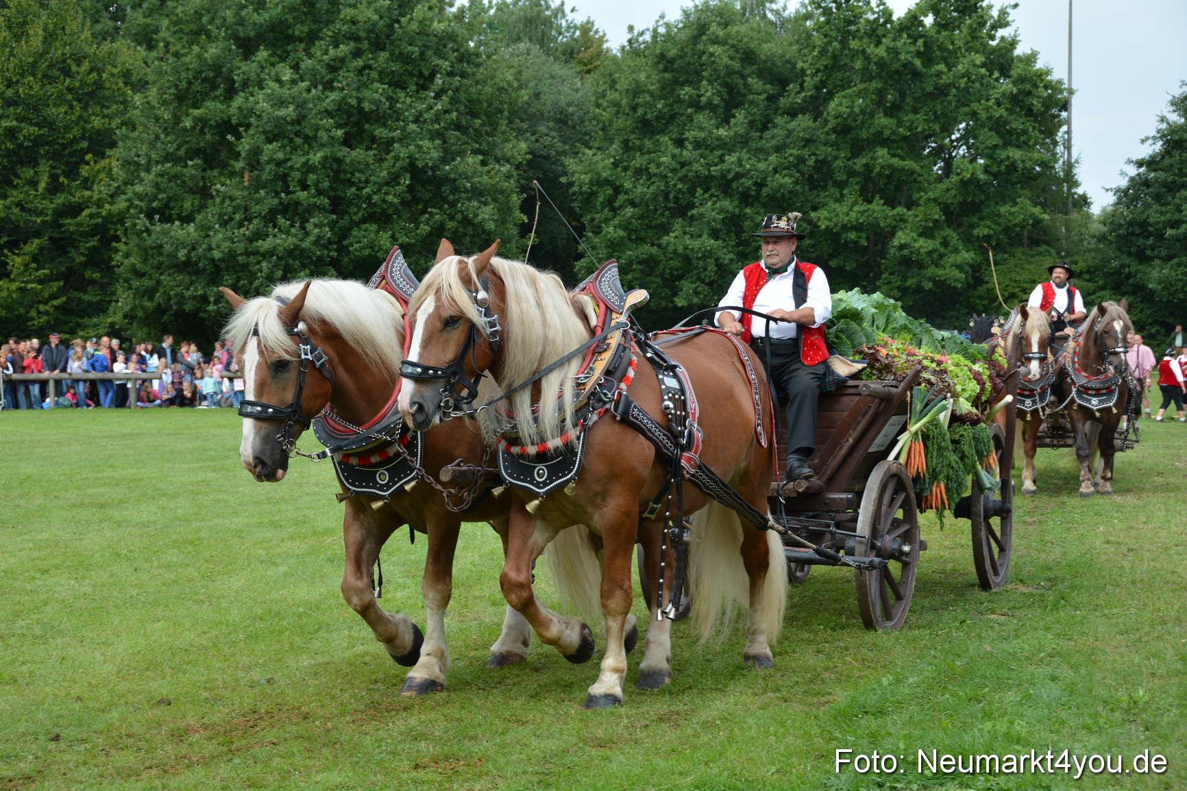 Pferdeschau JURA Volksfest 180814 0143