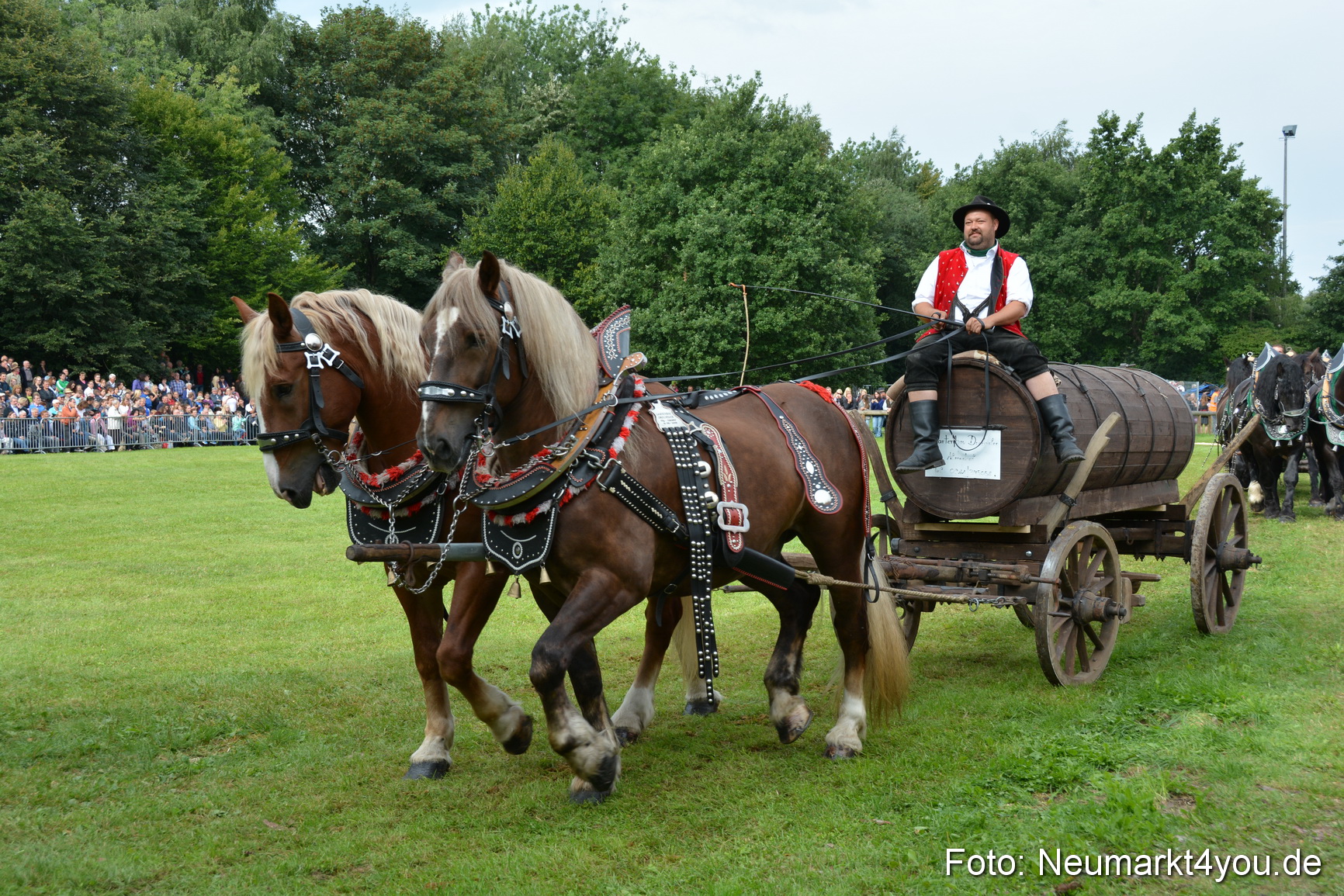 Pferdeschau JURA Volksfest 180814 0144