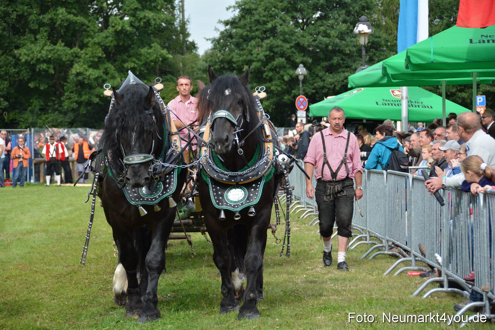 Pferdeschau JURA Volksfest 180814 0145