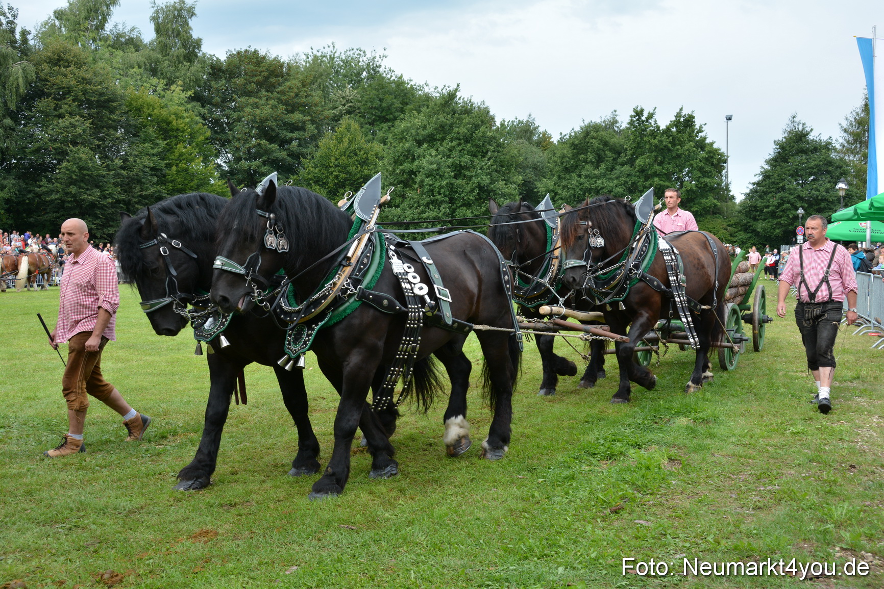 Pferdeschau JURA Volksfest 180814 0146