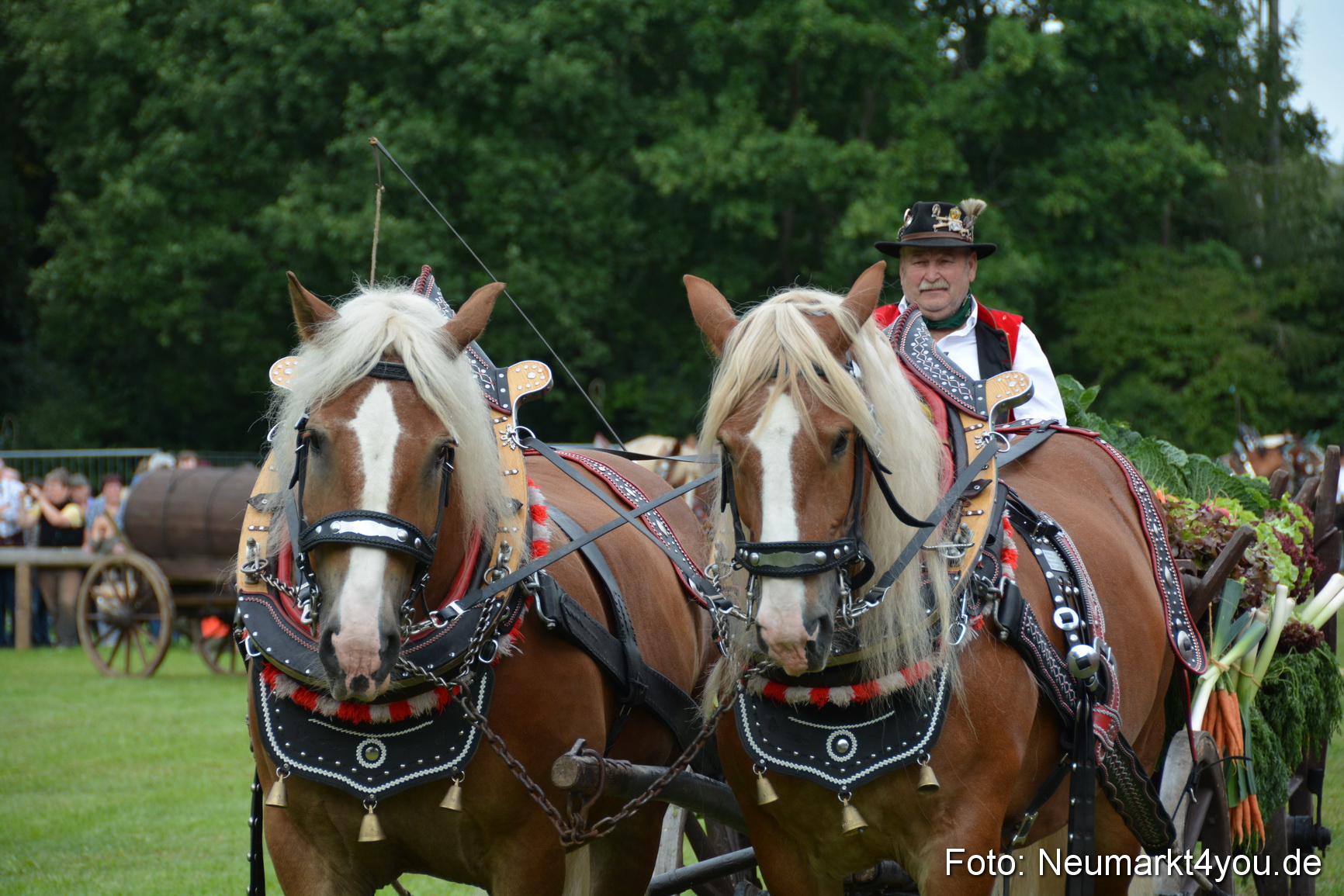 Pferdeschau JURA Volksfest 180814 0147