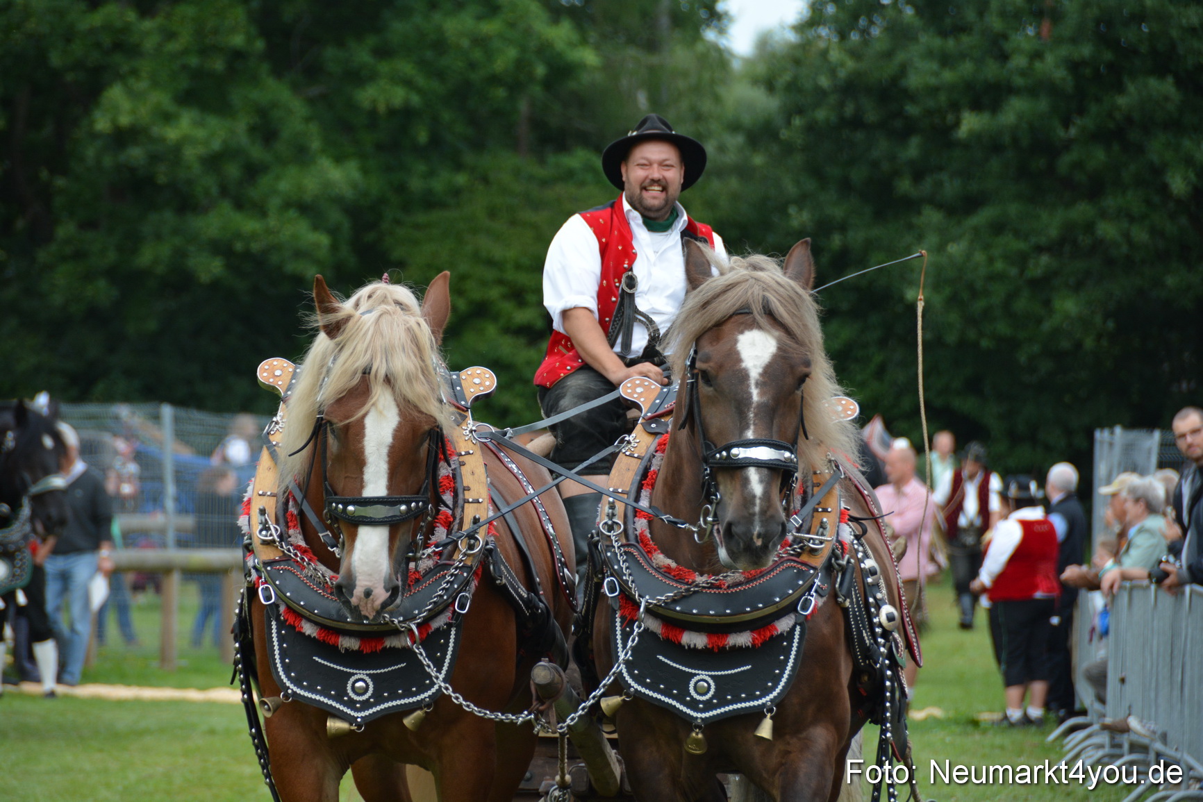 Pferdeschau JURA Volksfest 180814 0148