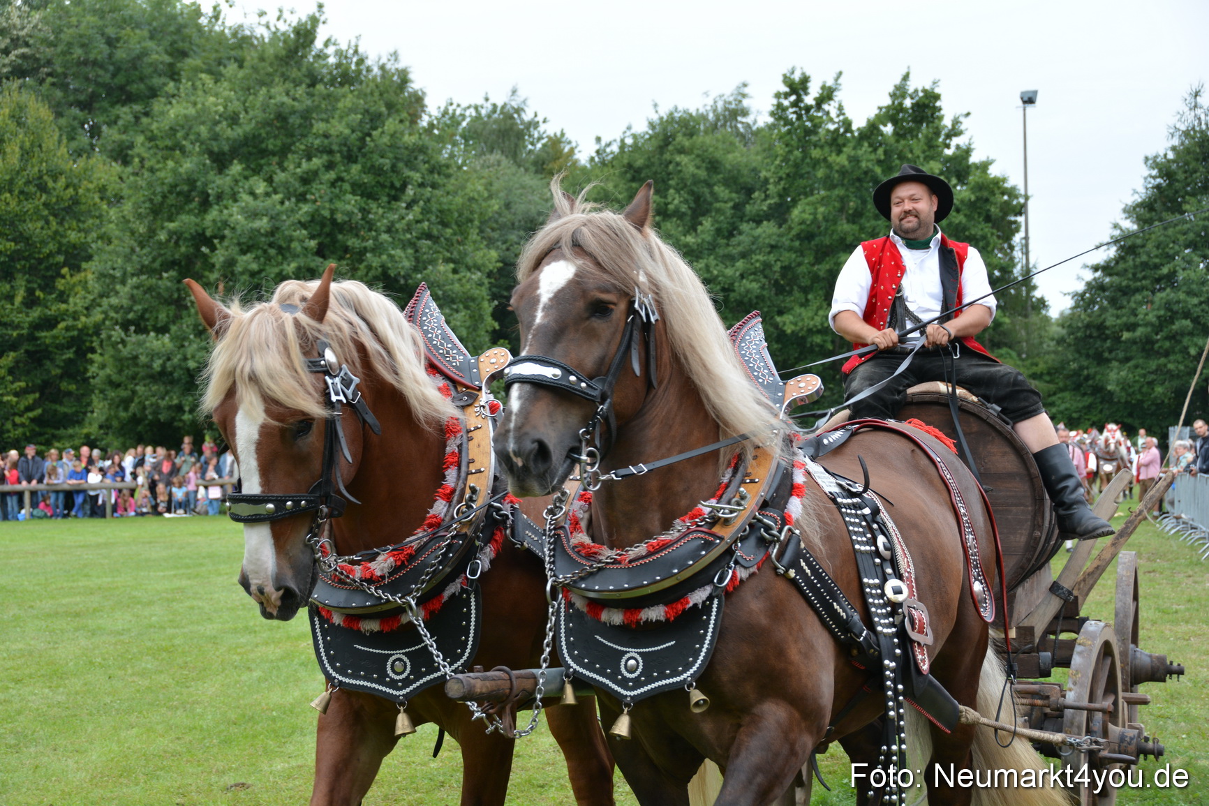 Pferdeschau JURA Volksfest 180814 0149