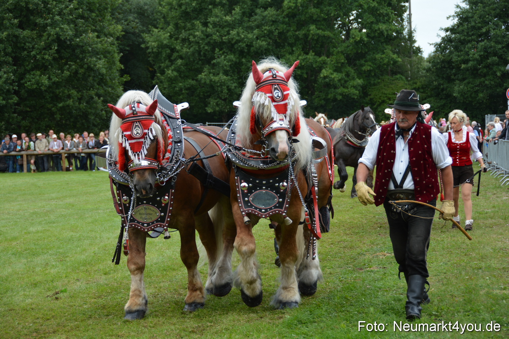 Pferdeschau JURA Volksfest 180814 0152