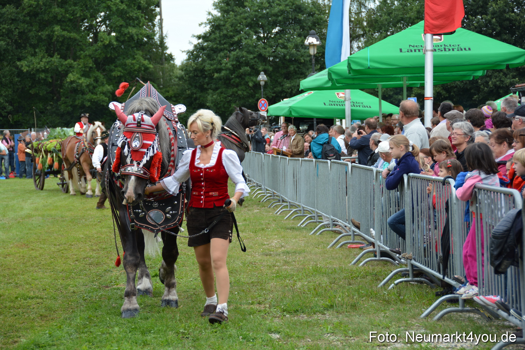 Pferdeschau JURA Volksfest 180814 0153