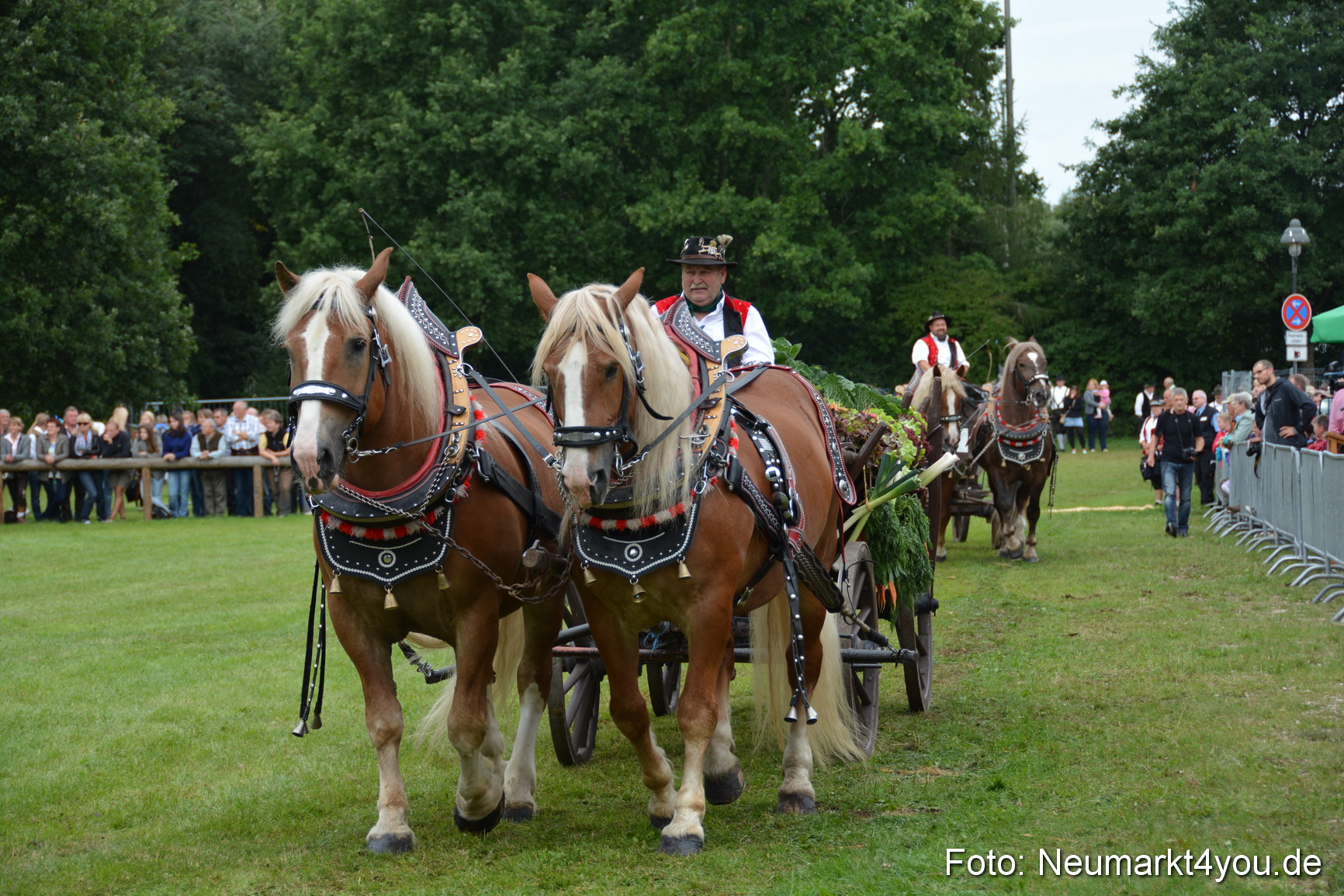 Pferdeschau JURA Volksfest 180814 0154