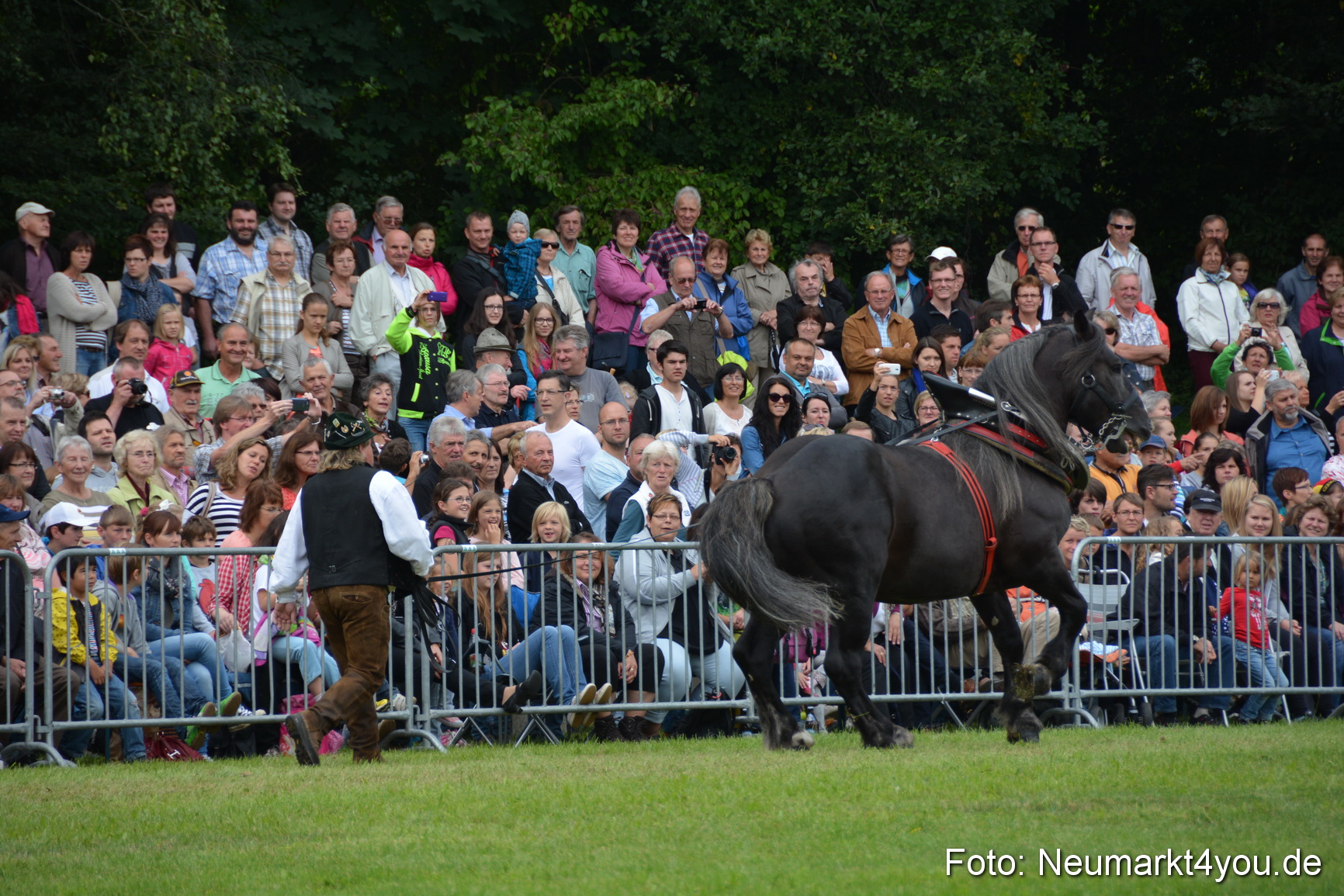 Pferdeschau JURA Volksfest 180814 0156