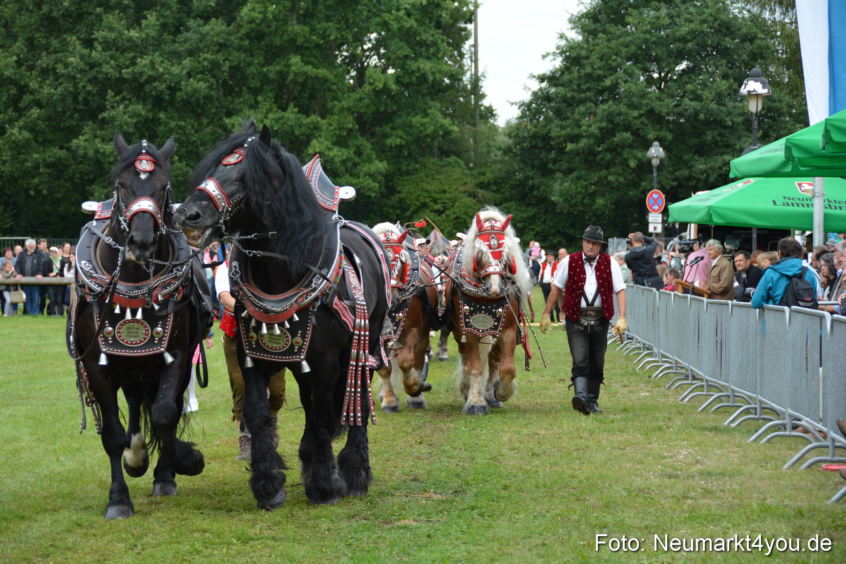Pferdeschau JURA Volksfest 180814 0157