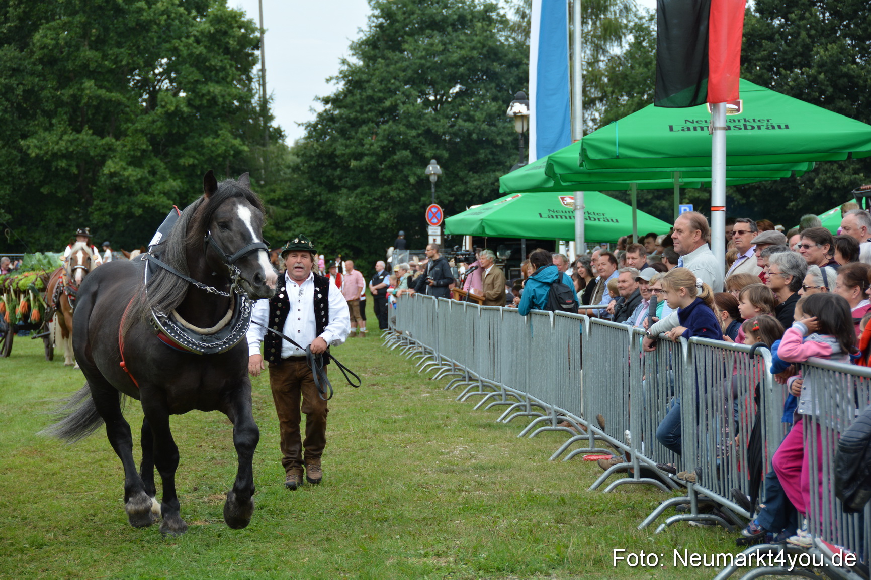 Pferdeschau JURA Volksfest 180814 0160
