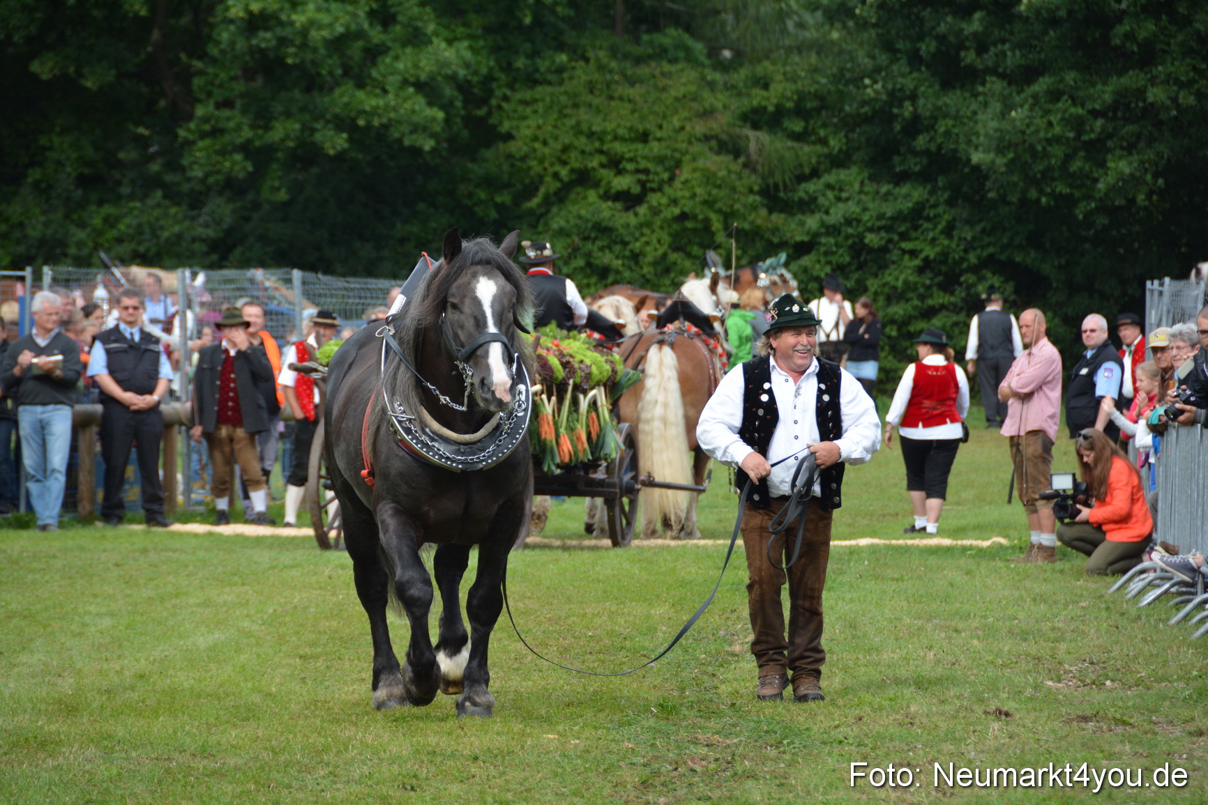 Pferdeschau JURA Volksfest 180814 0161