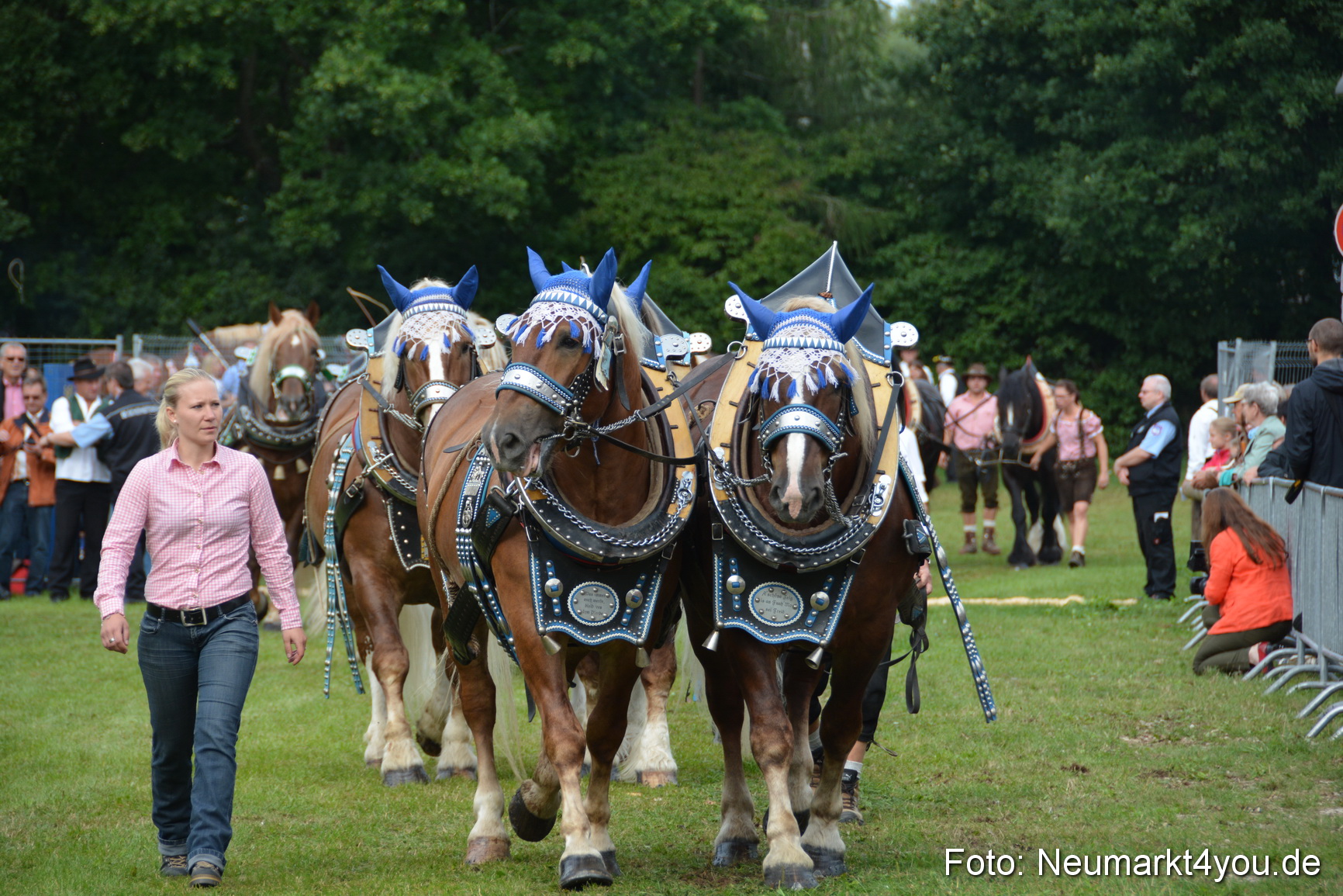 Pferdeschau JURA Volksfest 180814 0162