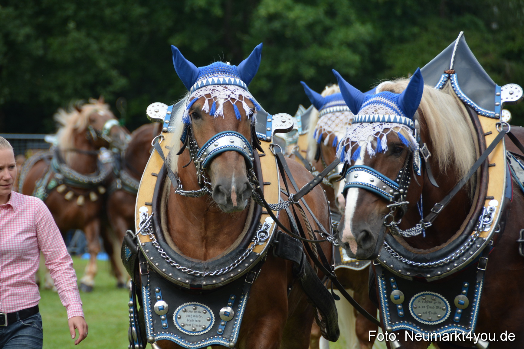 Pferdeschau JURA Volksfest 180814 0163
