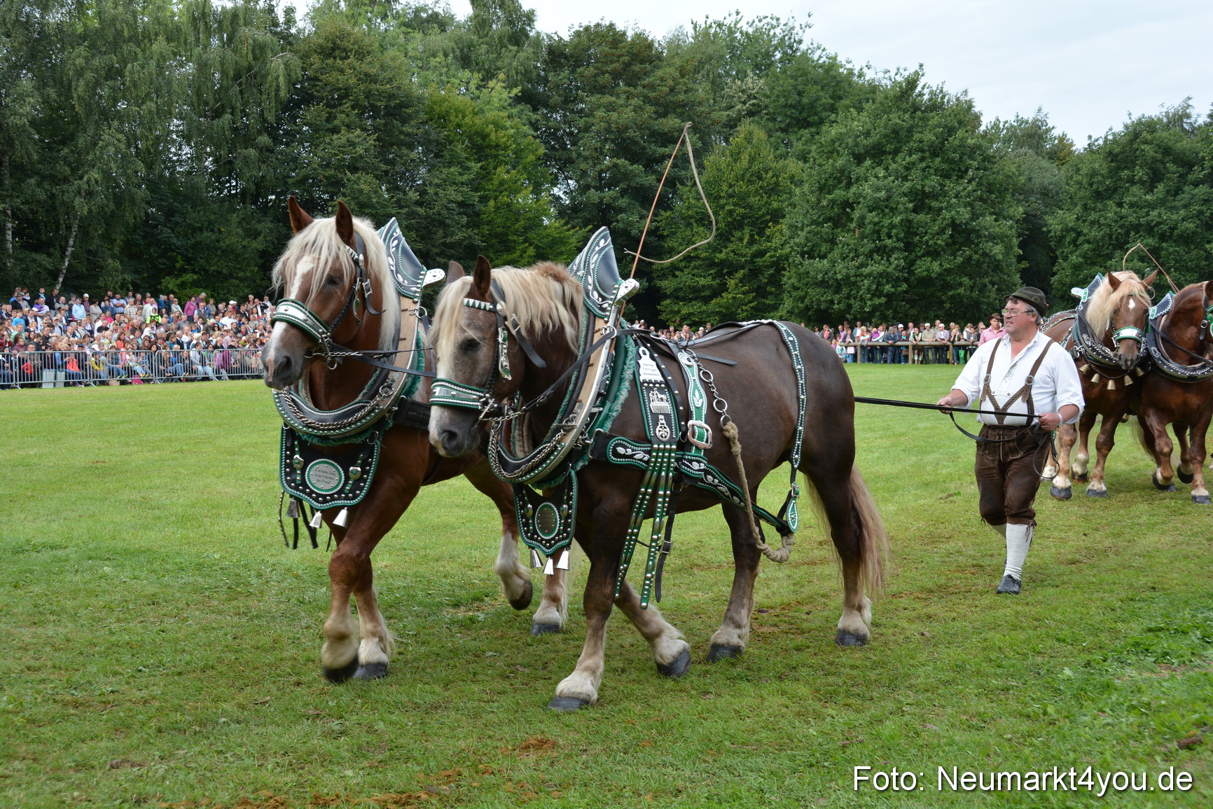 Pferdeschau JURA Volksfest 180814 0165