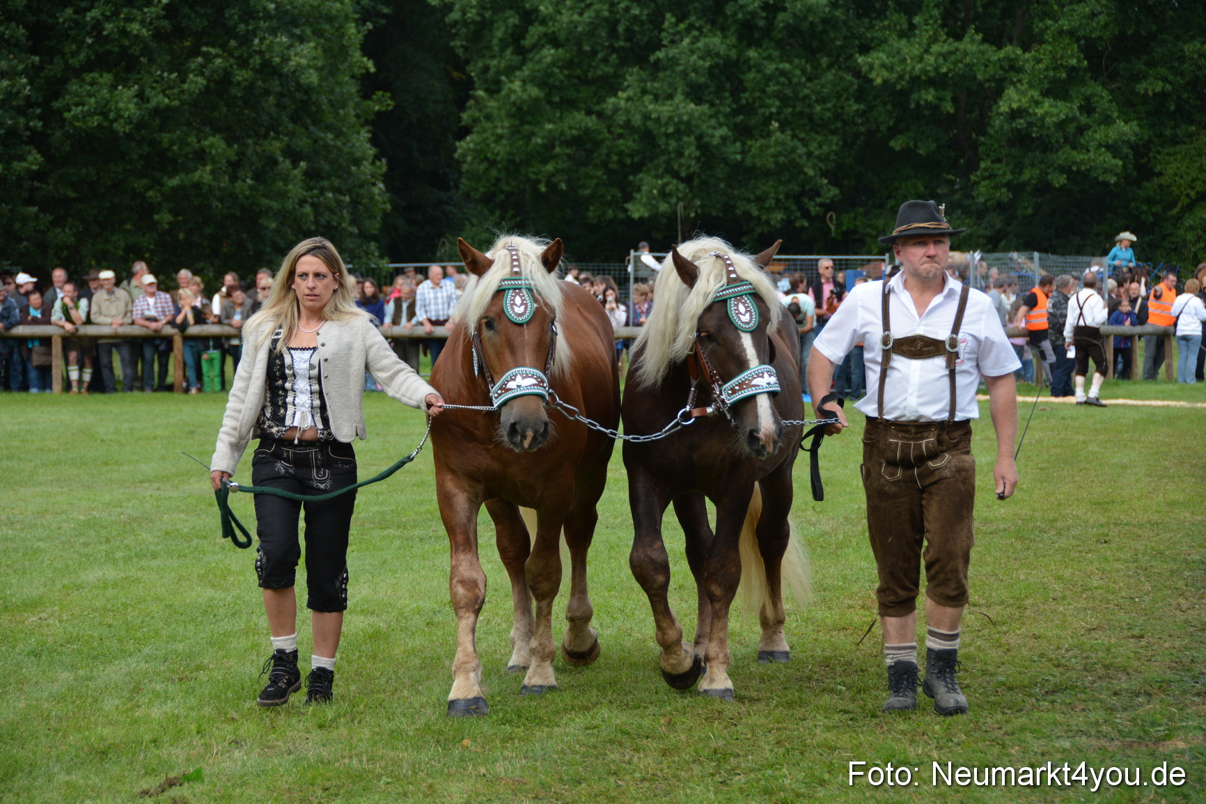 Pferdeschau JURA Volksfest 180814 0167
