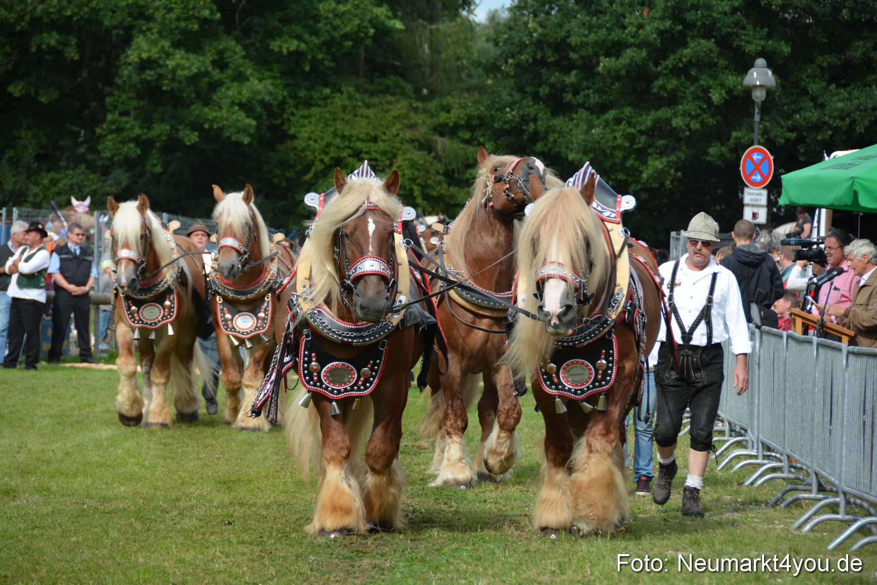 Pferdeschau JURA Volksfest 180814 0169