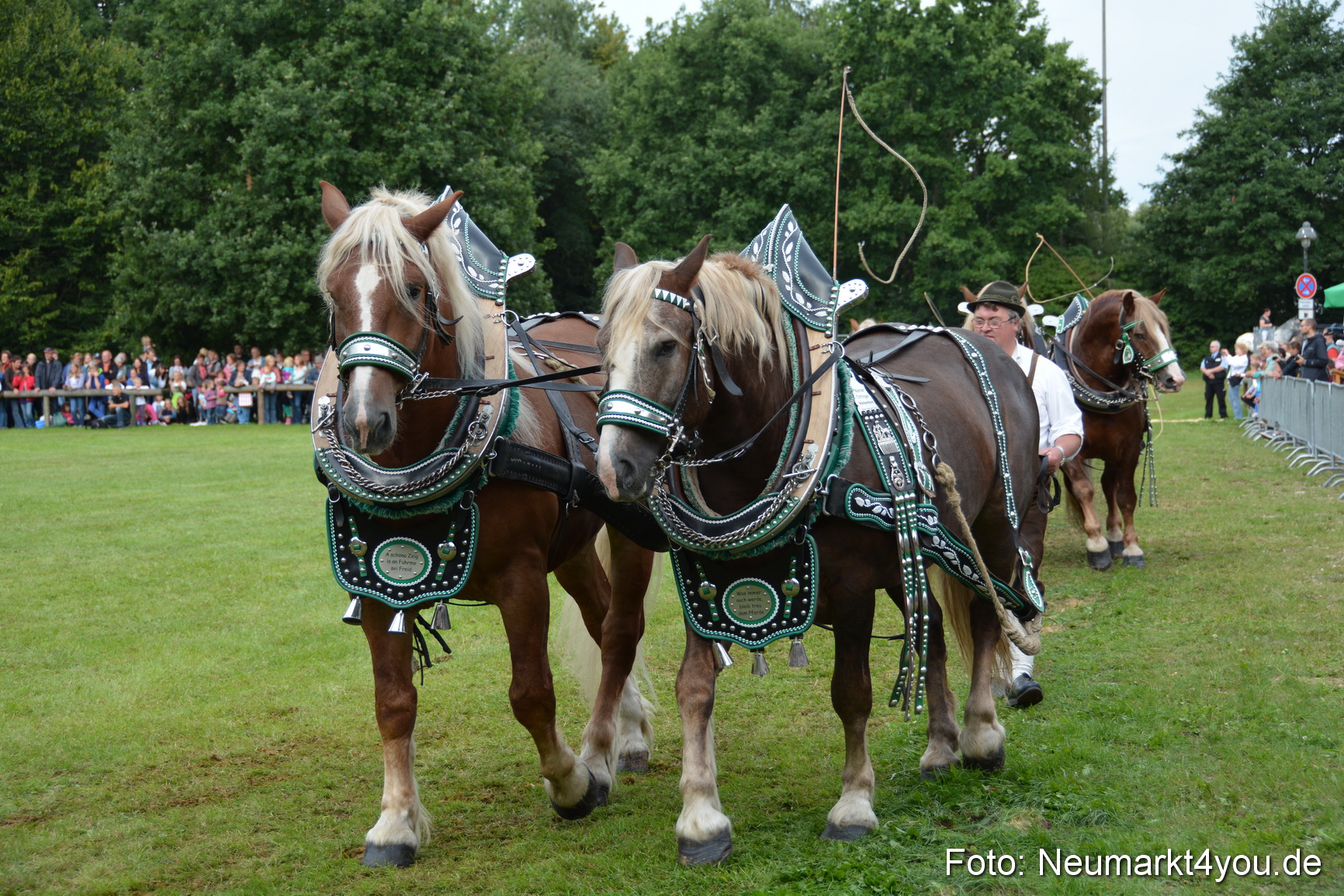 Pferdeschau JURA Volksfest 180814 0174