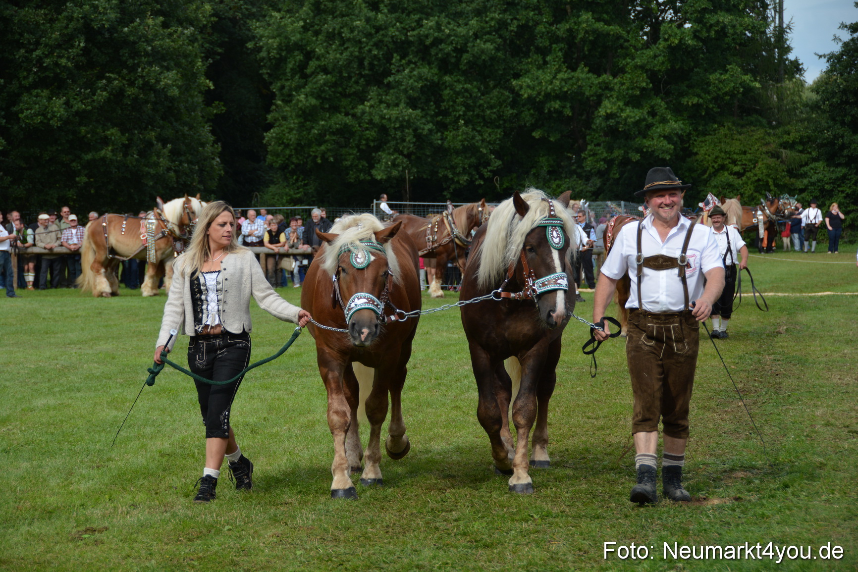 Pferdeschau JURA Volksfest 180814 0176