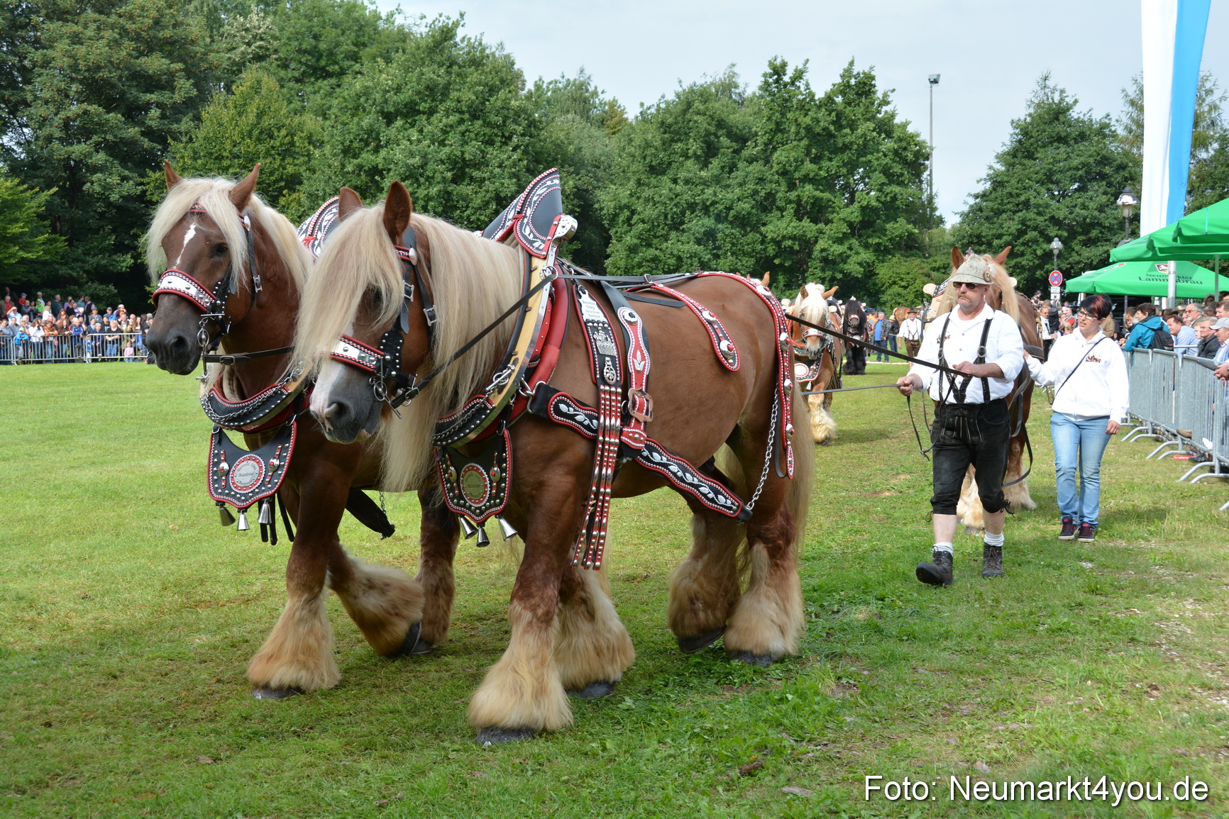 Pferdeschau JURA Volksfest 180814 0178