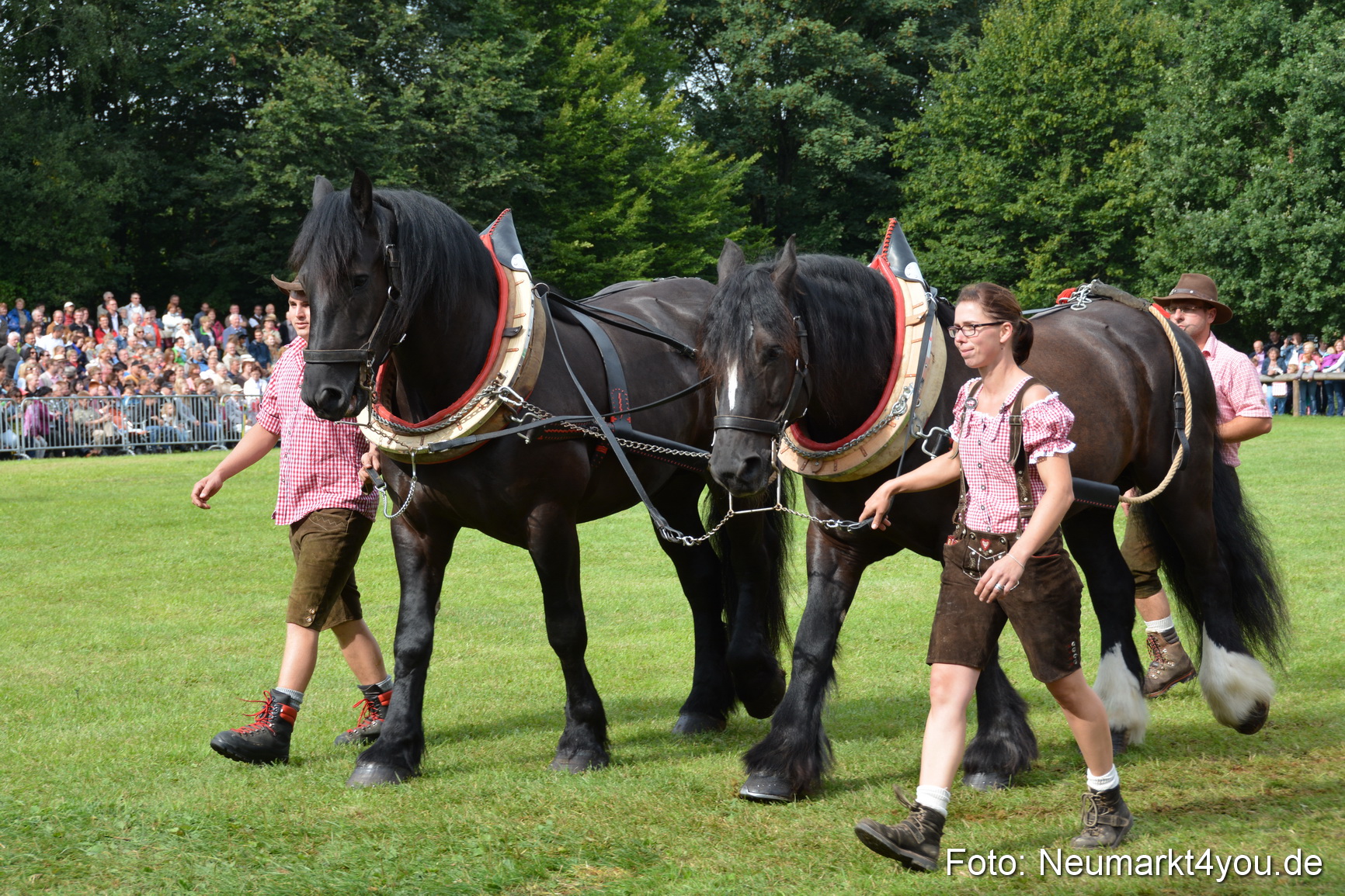 Pferdeschau JURA Volksfest 180814 0183