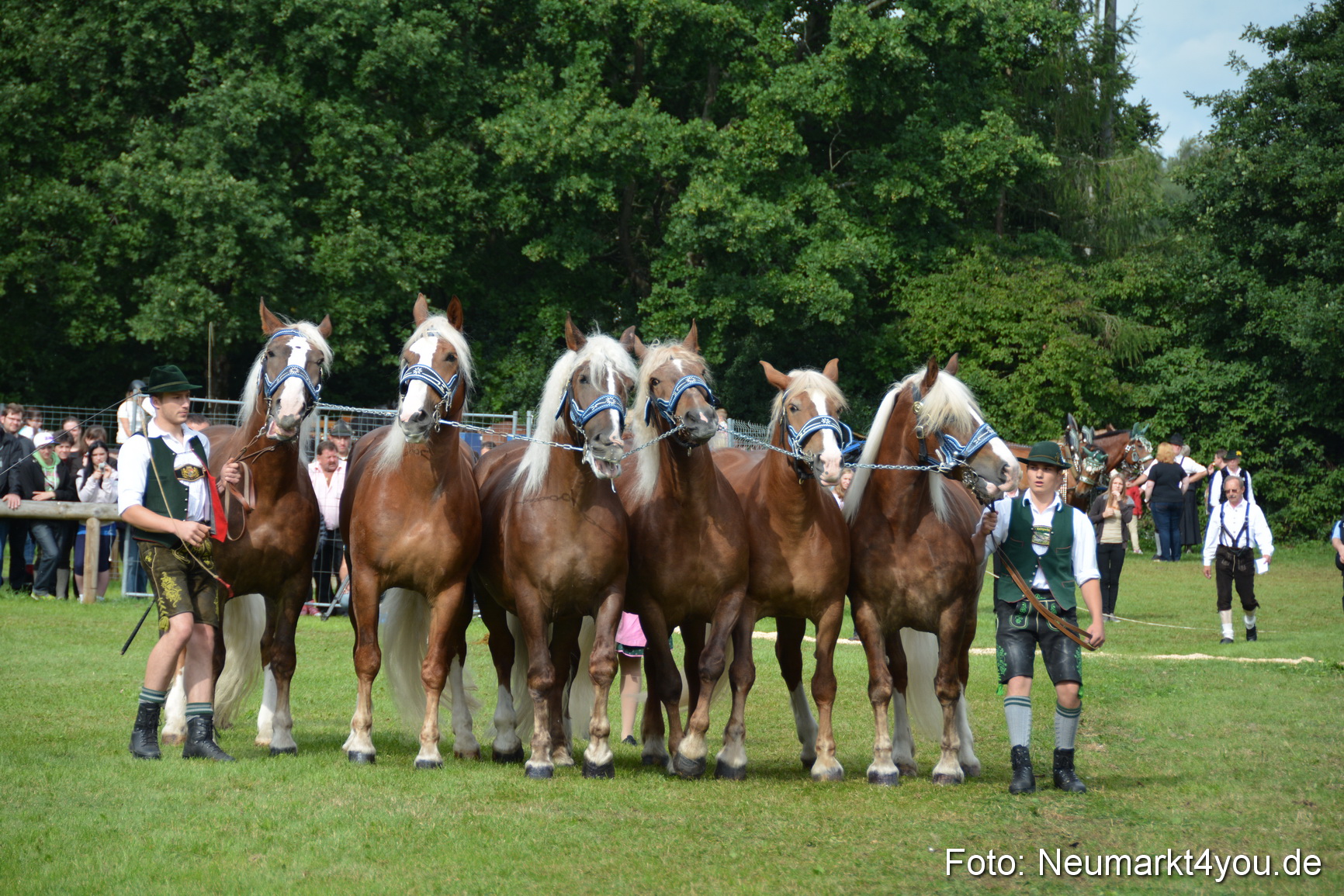 Pferdeschau JURA Volksfest 180814 0187