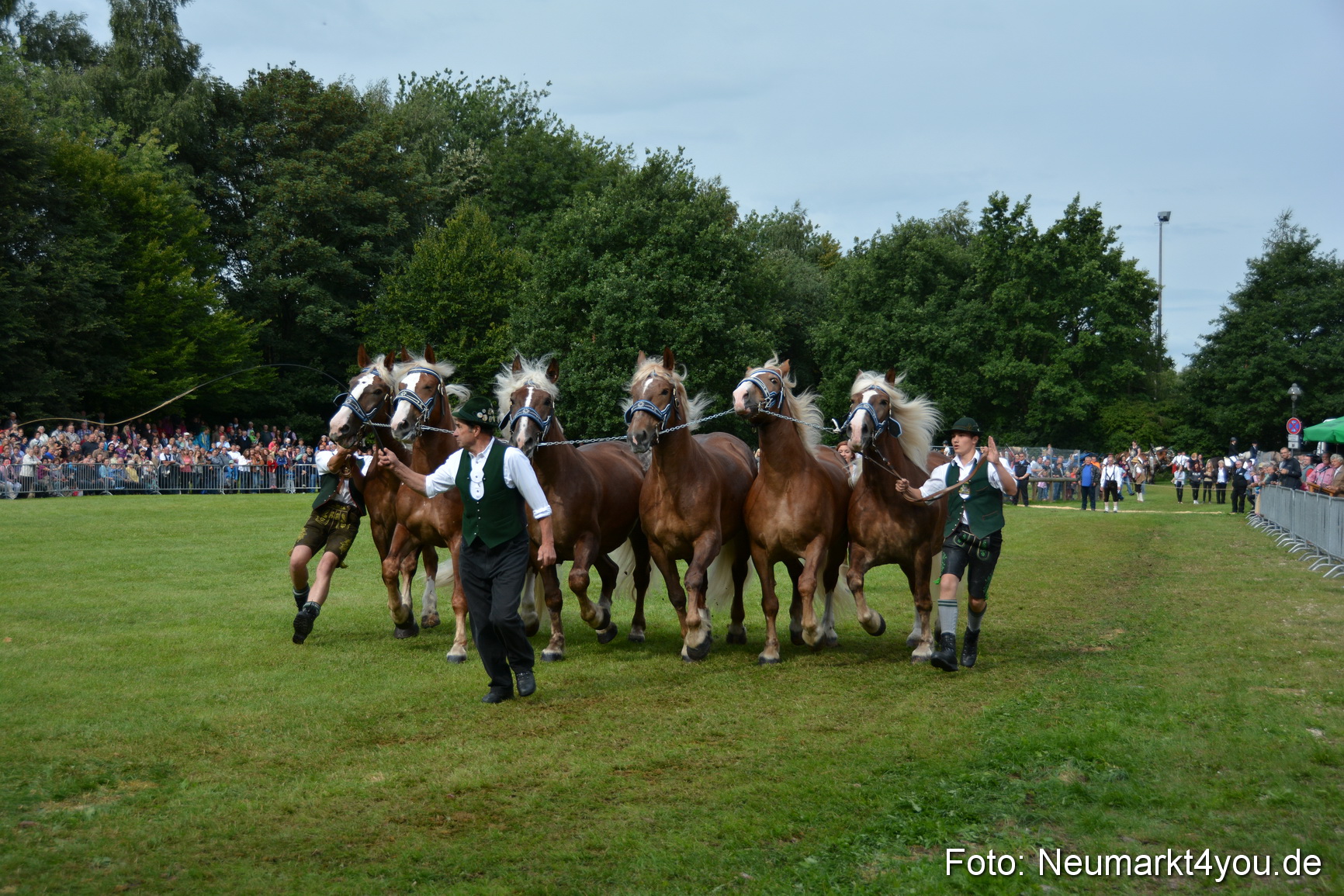 Pferdeschau JURA Volksfest 180814 0190