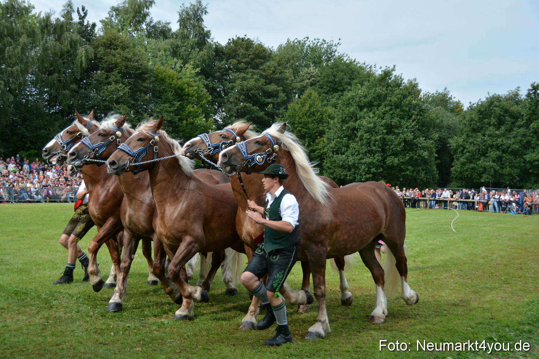 Pferdeschau JURA Volksfest 180814 0191