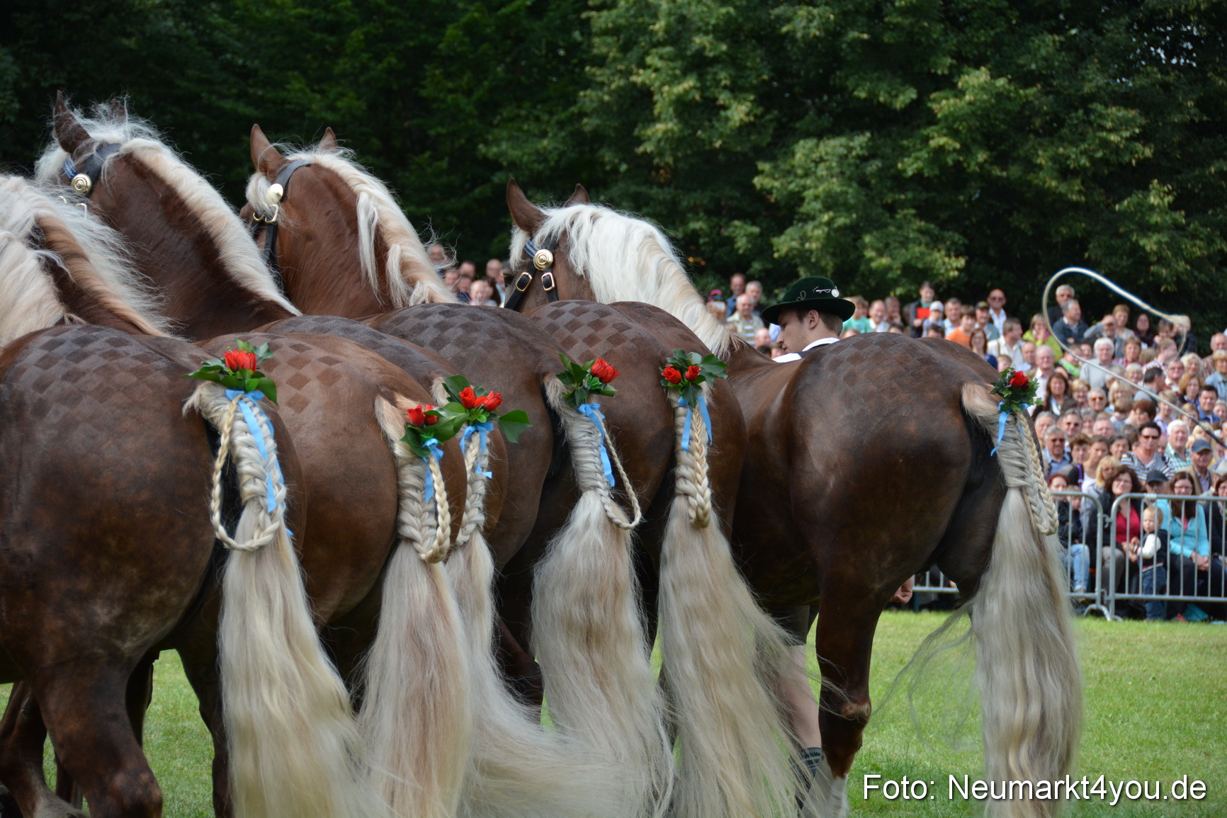 Pferdeschau JURA Volksfest 180814 0194