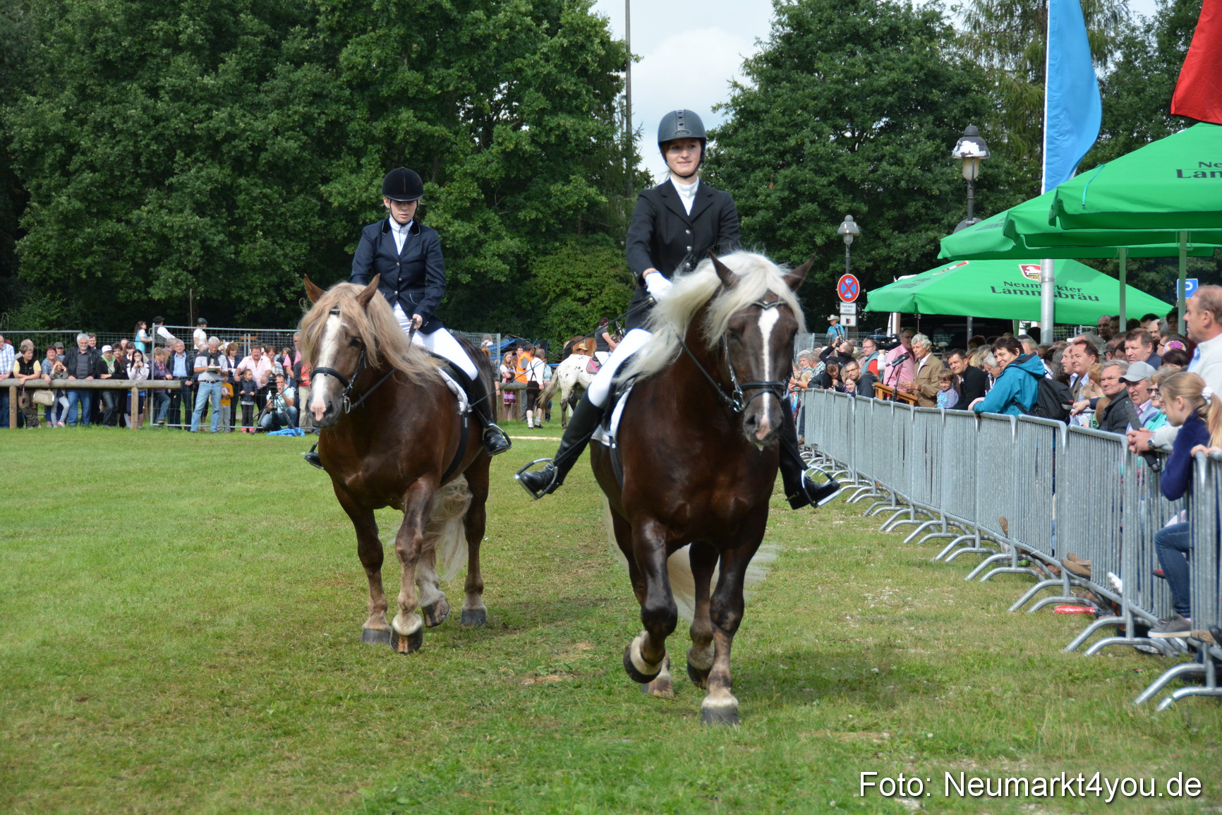 Pferdeschau JURA Volksfest 180814 0195