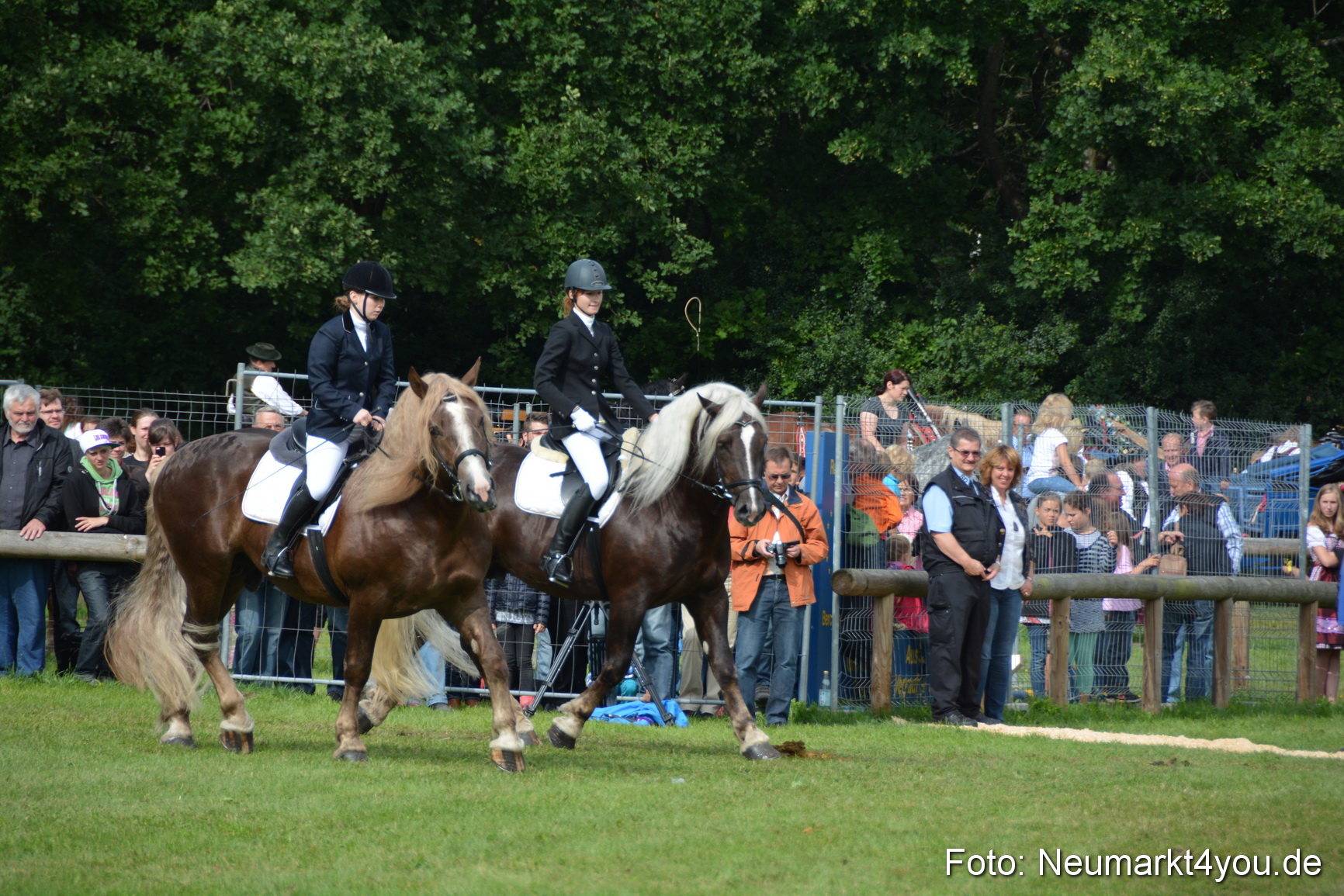 Pferdeschau JURA Volksfest 180814 0196