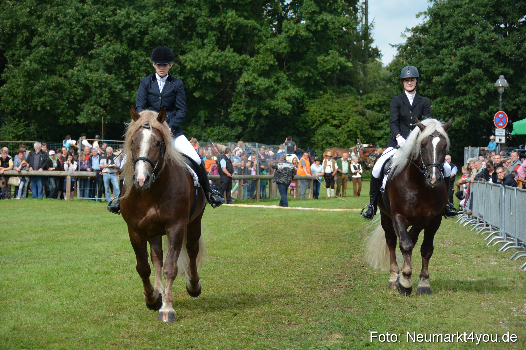 Pferdeschau JURA Volksfest 180814 0197