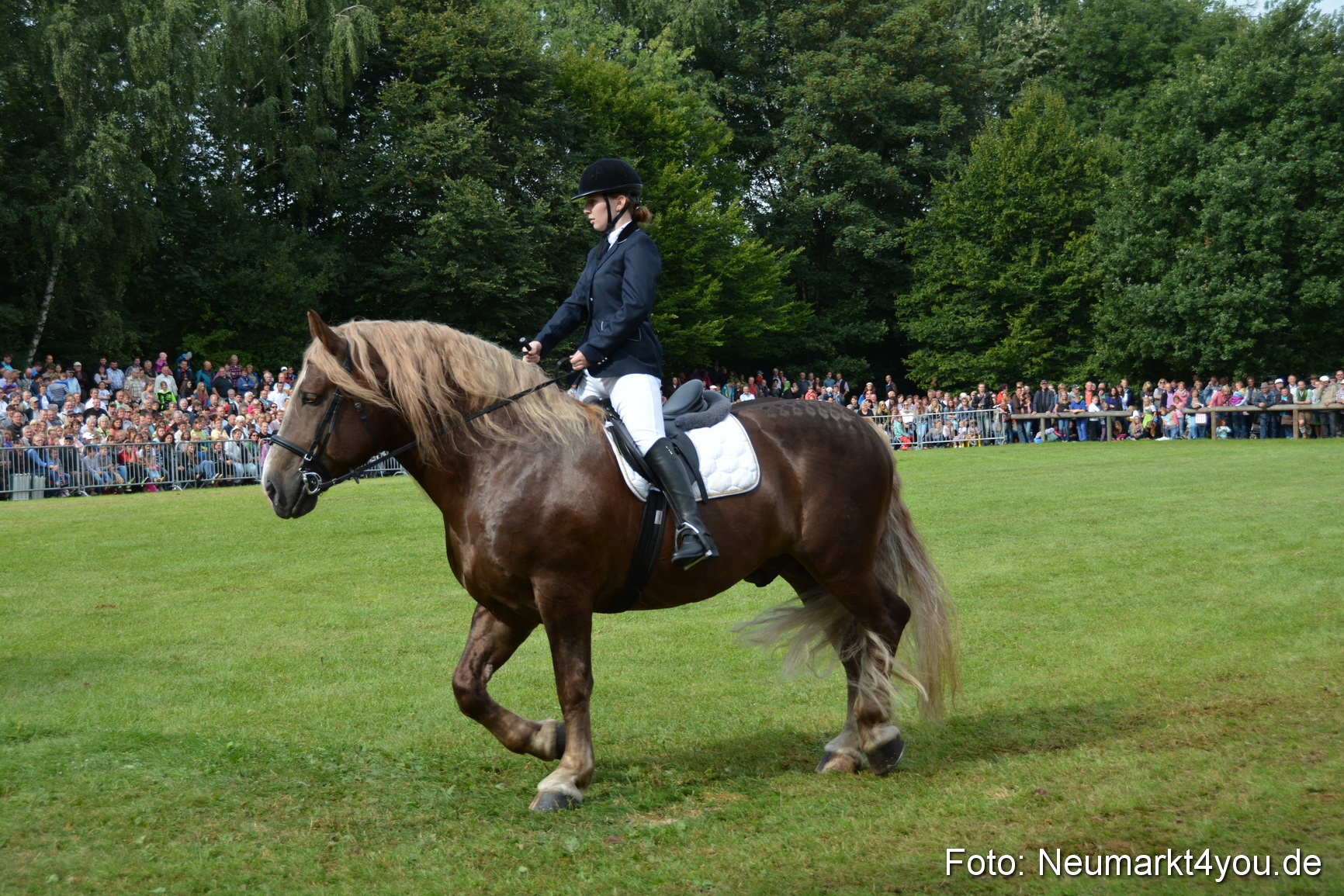 Pferdeschau JURA Volksfest 180814 0198