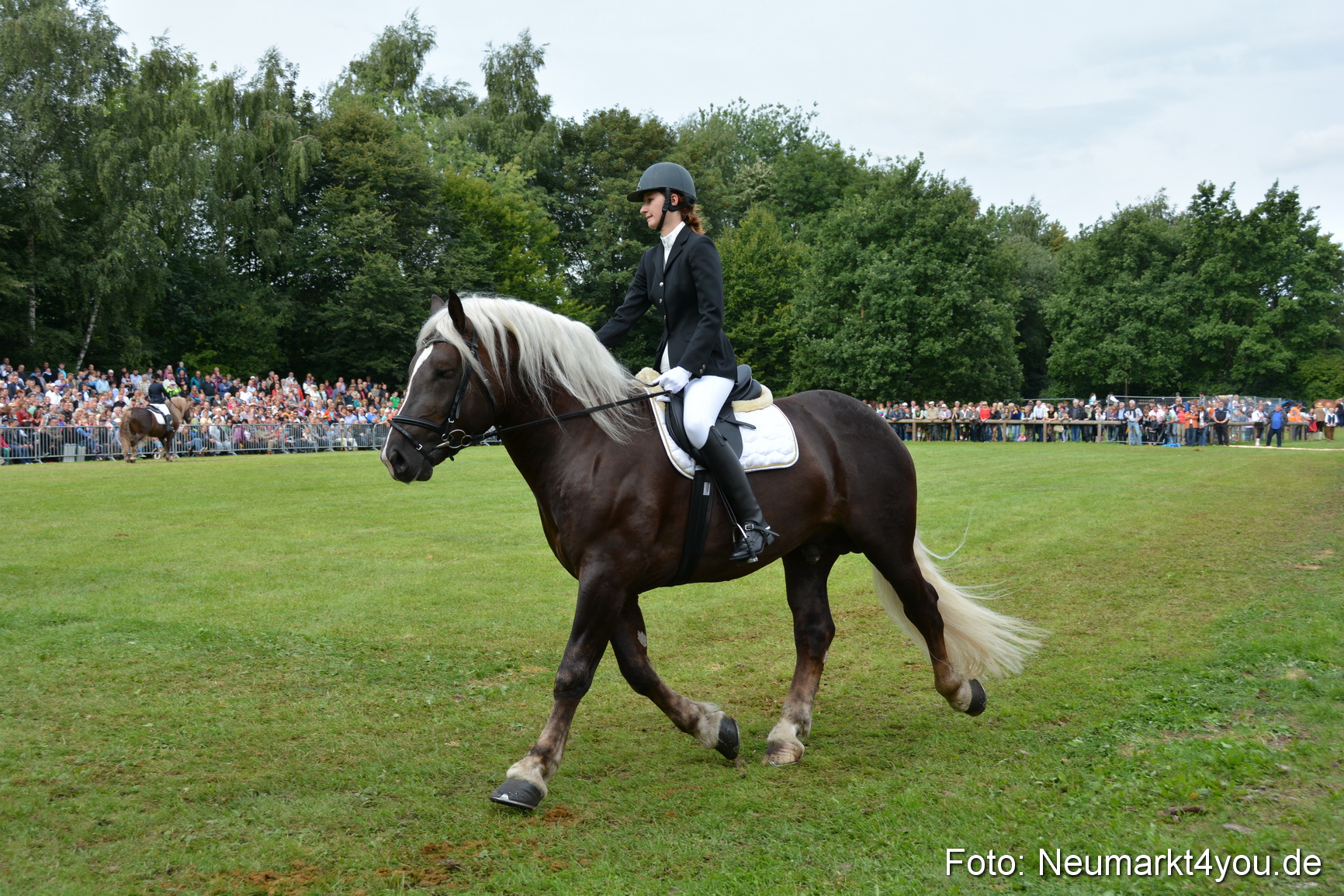 Pferdeschau JURA Volksfest 180814 0199
