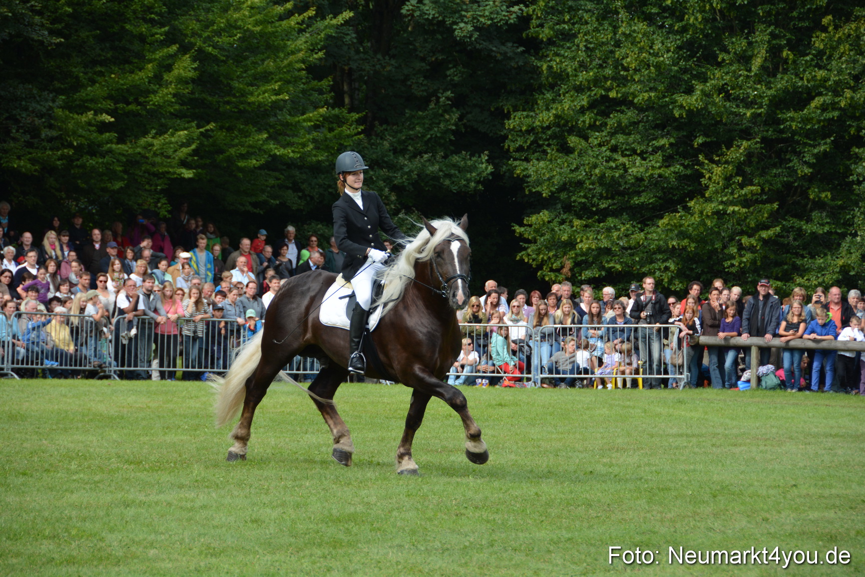 Pferdeschau JURA Volksfest 180814 0200