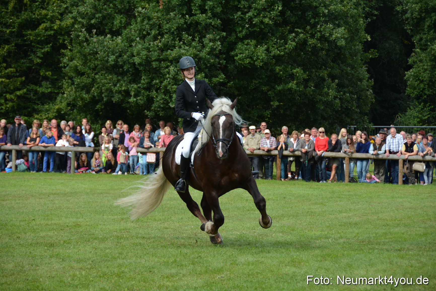 Pferdeschau JURA Volksfest 180814 0201