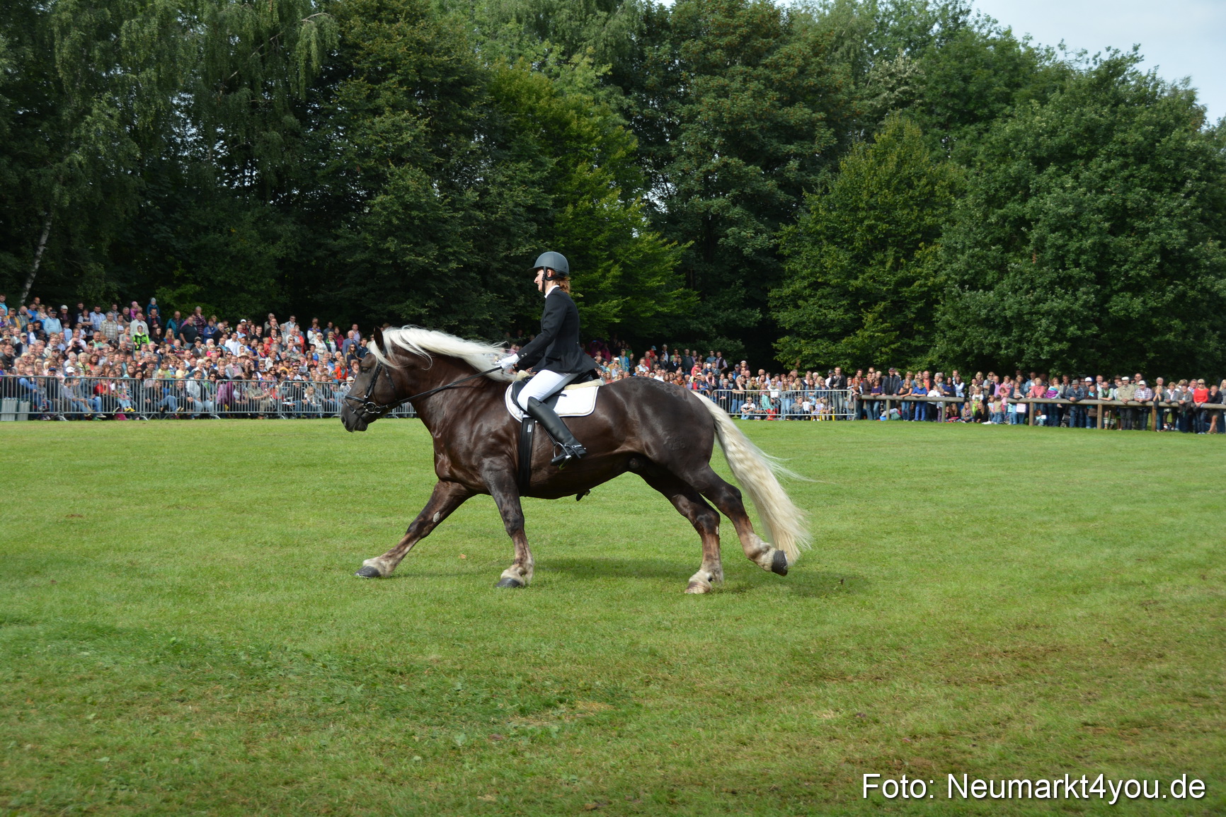 Pferdeschau JURA Volksfest 180814 0202