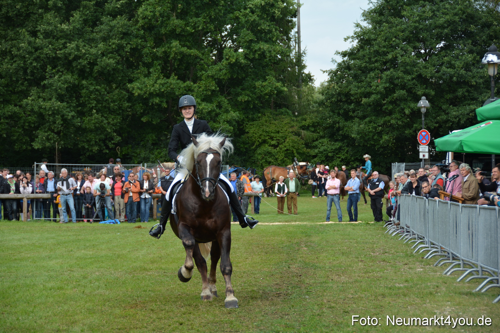 Pferdeschau JURA Volksfest 180814 0203