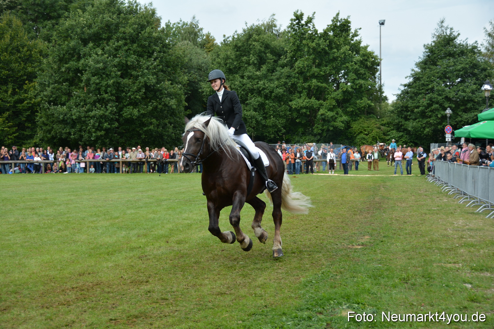 Pferdeschau JURA Volksfest 180814 0204