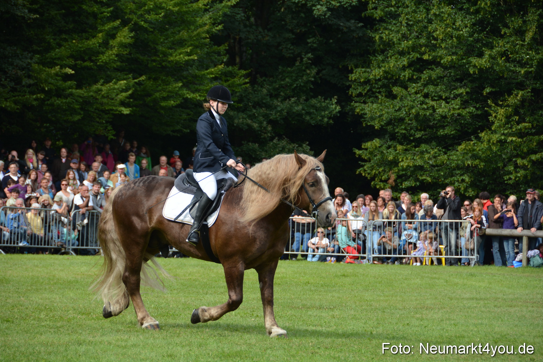 Pferdeschau JURA Volksfest 180814 0205