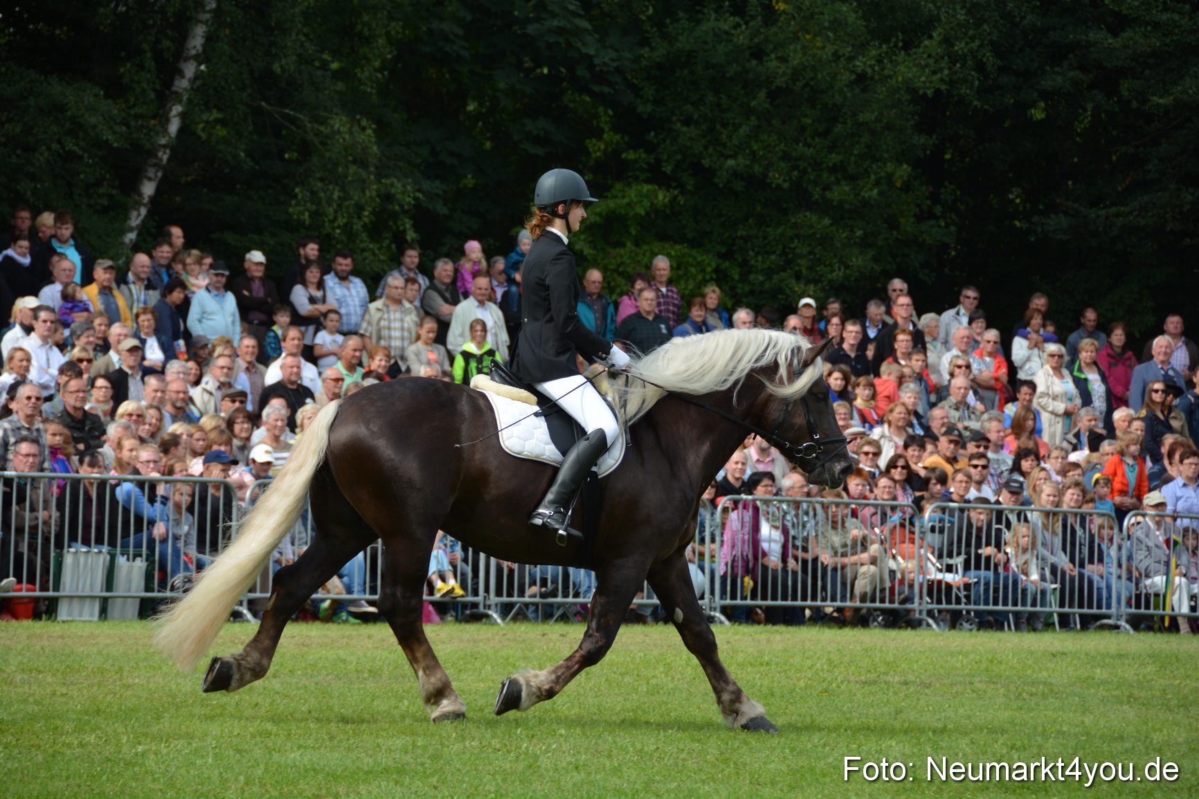 Pferdeschau JURA Volksfest 180814 0206