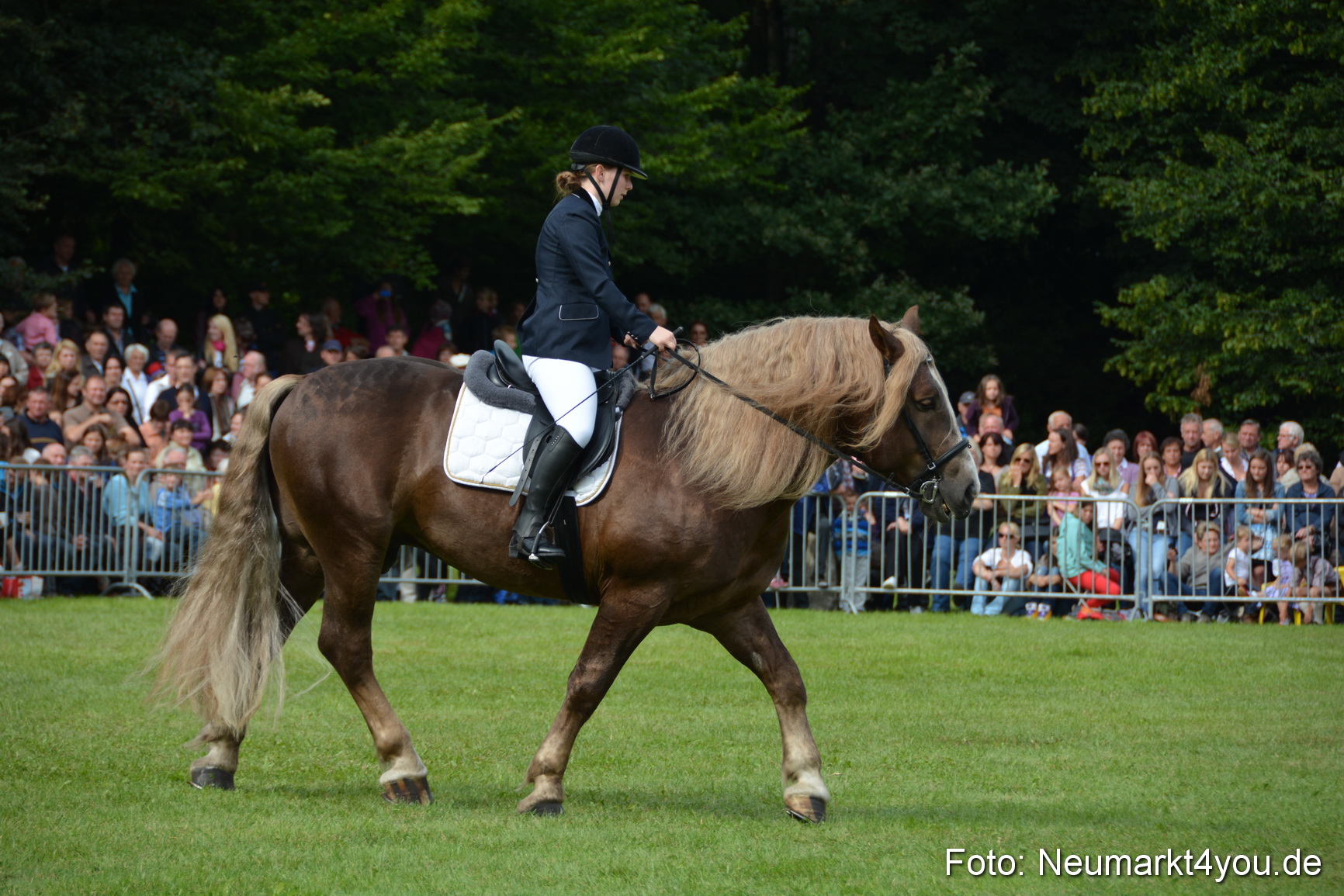 Pferdeschau JURA Volksfest 180814 0207