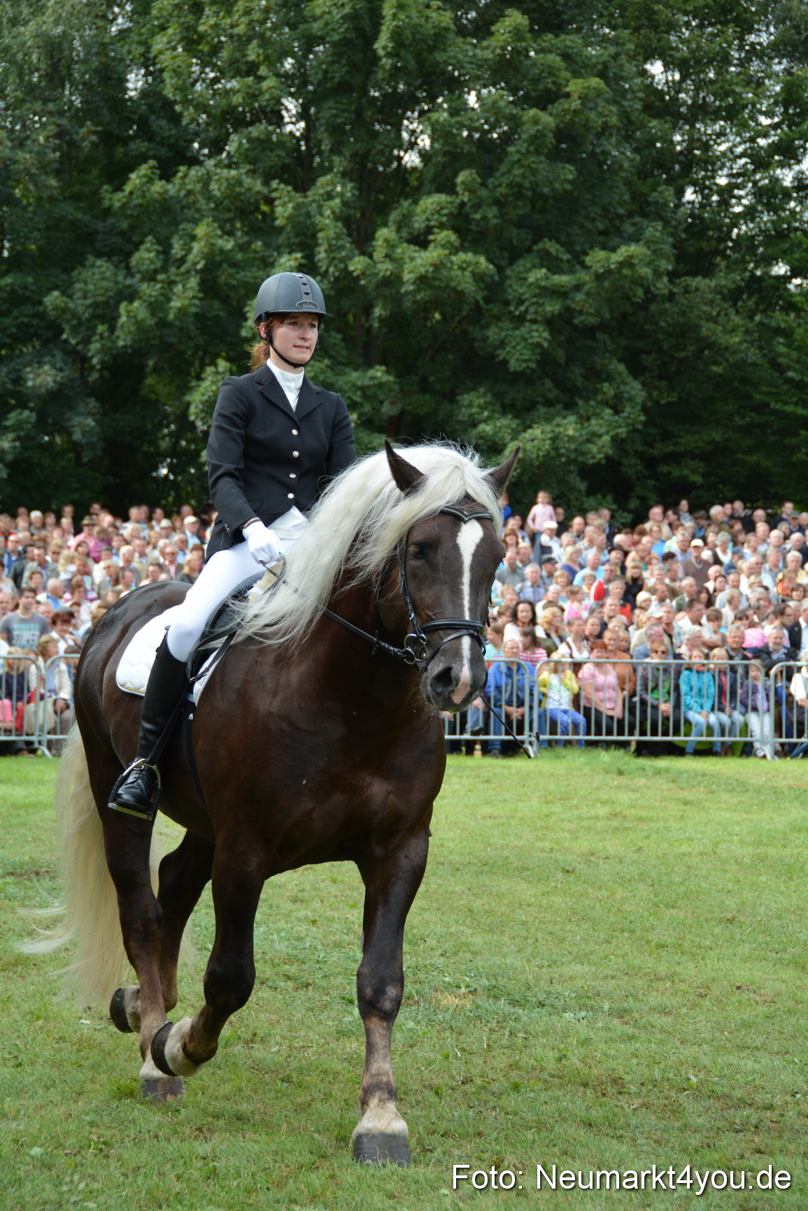 Pferdeschau JURA Volksfest 180814 0208
