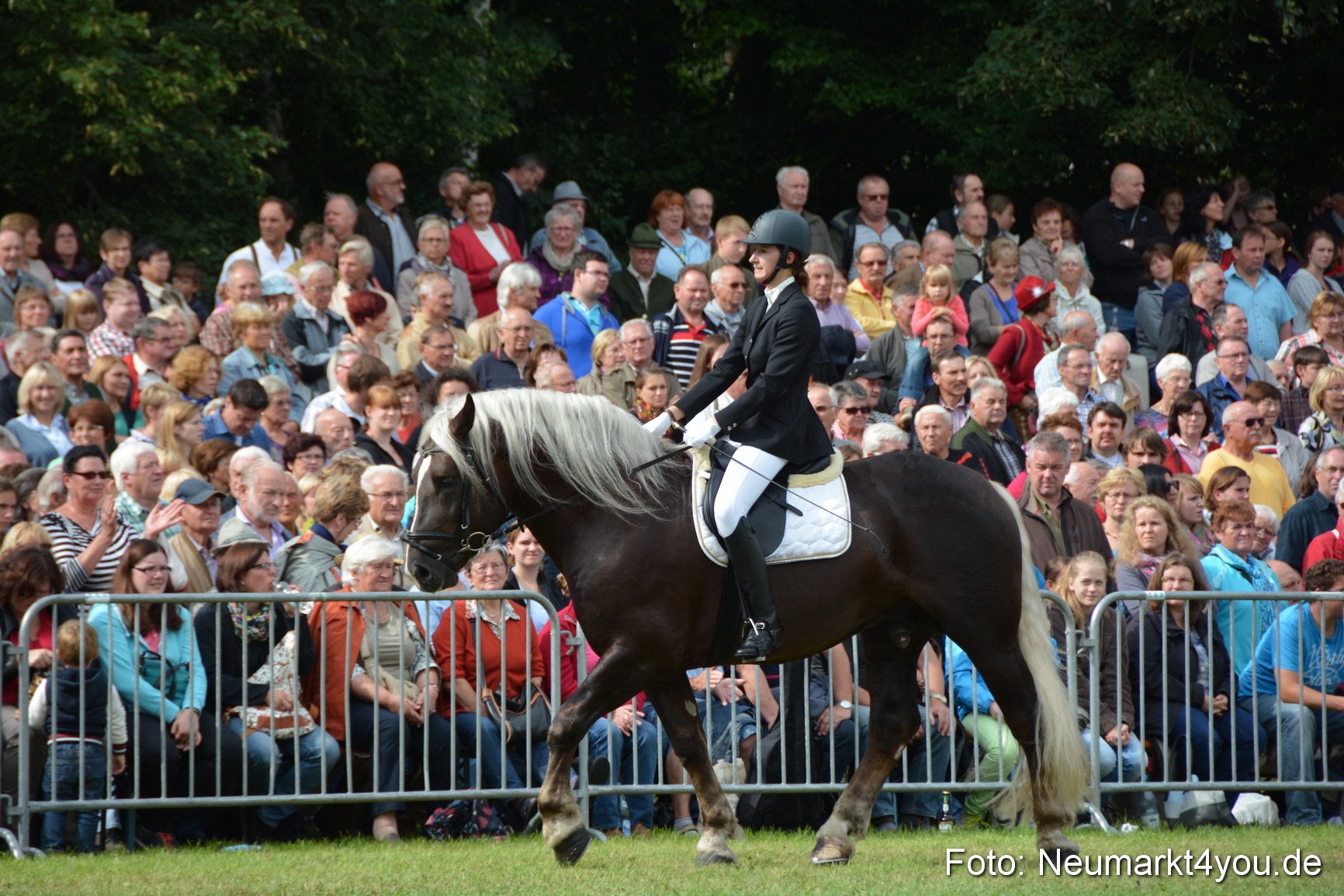 Pferdeschau JURA Volksfest 180814 0209