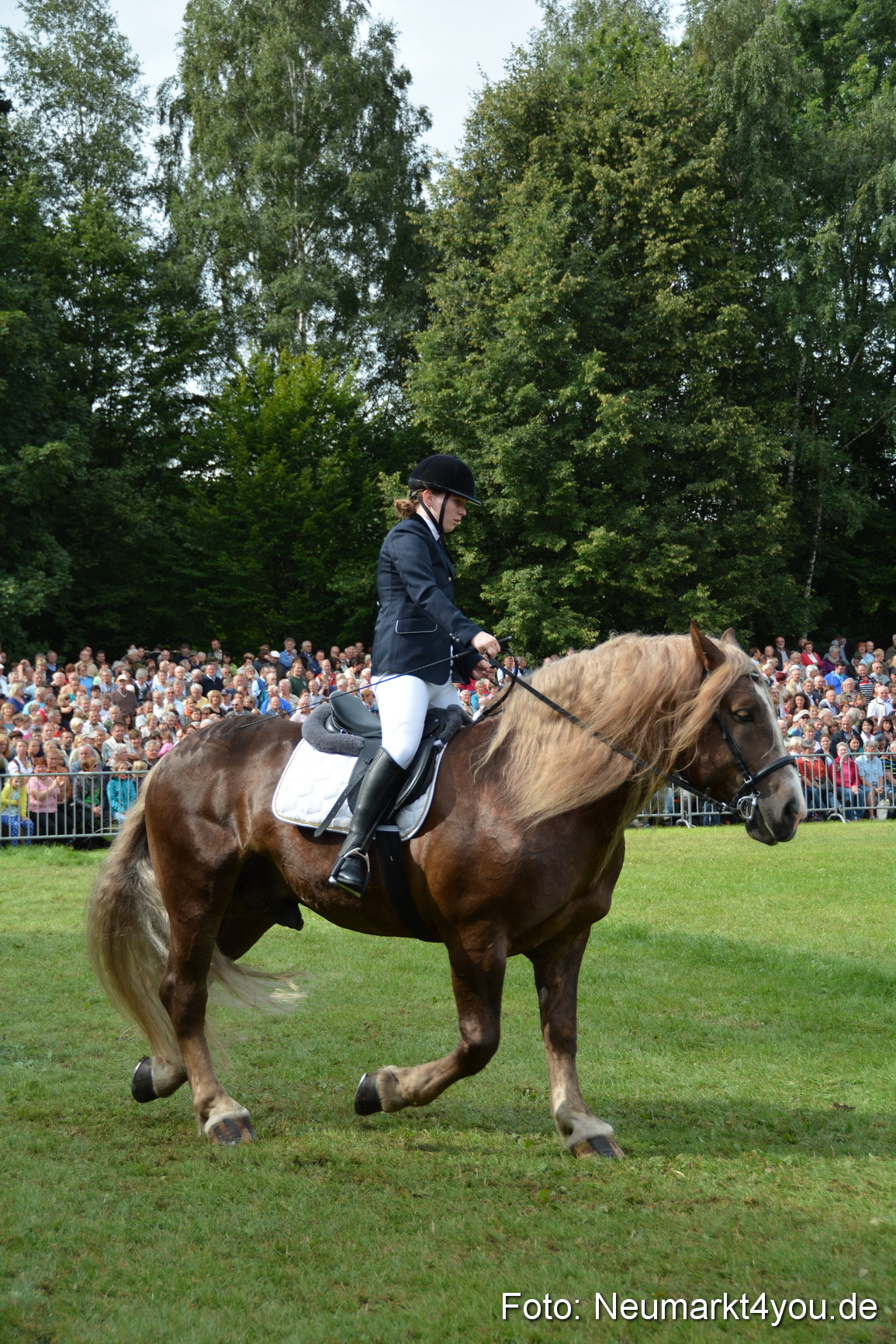 Pferdeschau JURA Volksfest 180814 0210