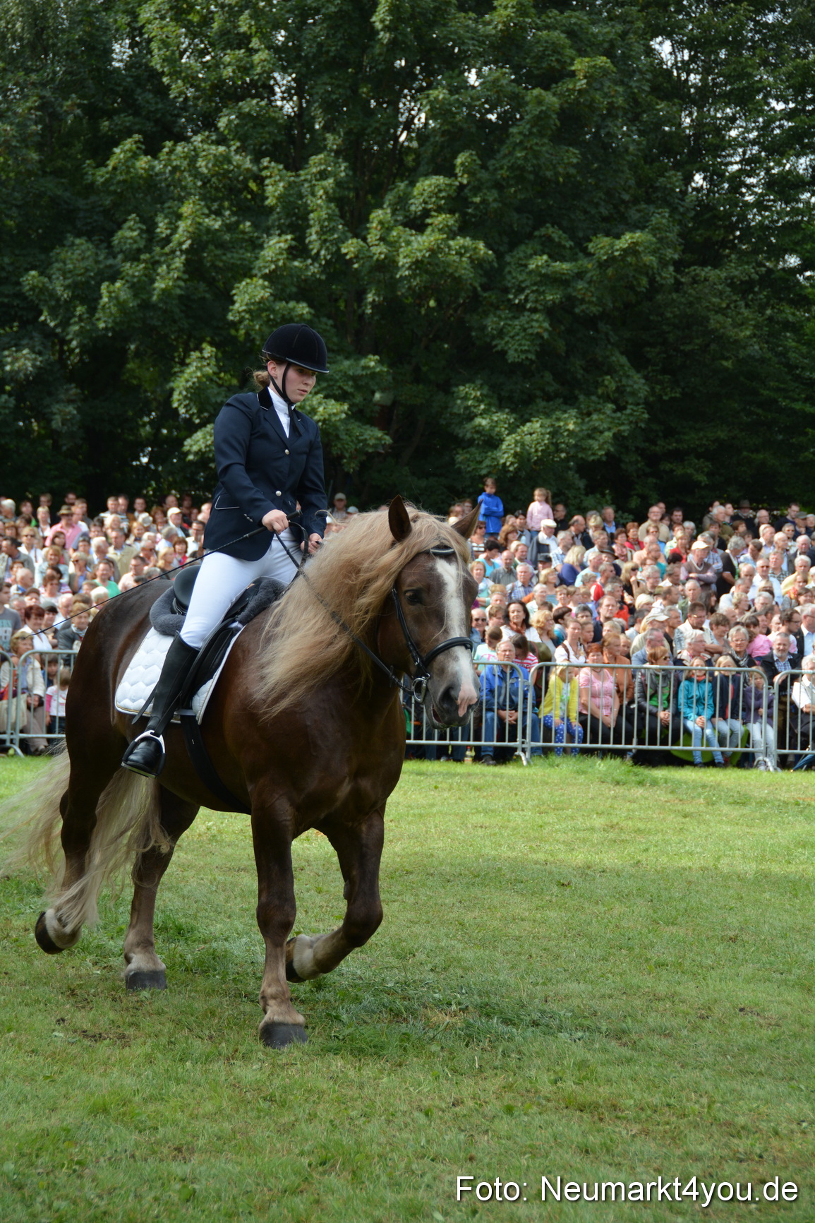 Pferdeschau JURA Volksfest 180814 0211