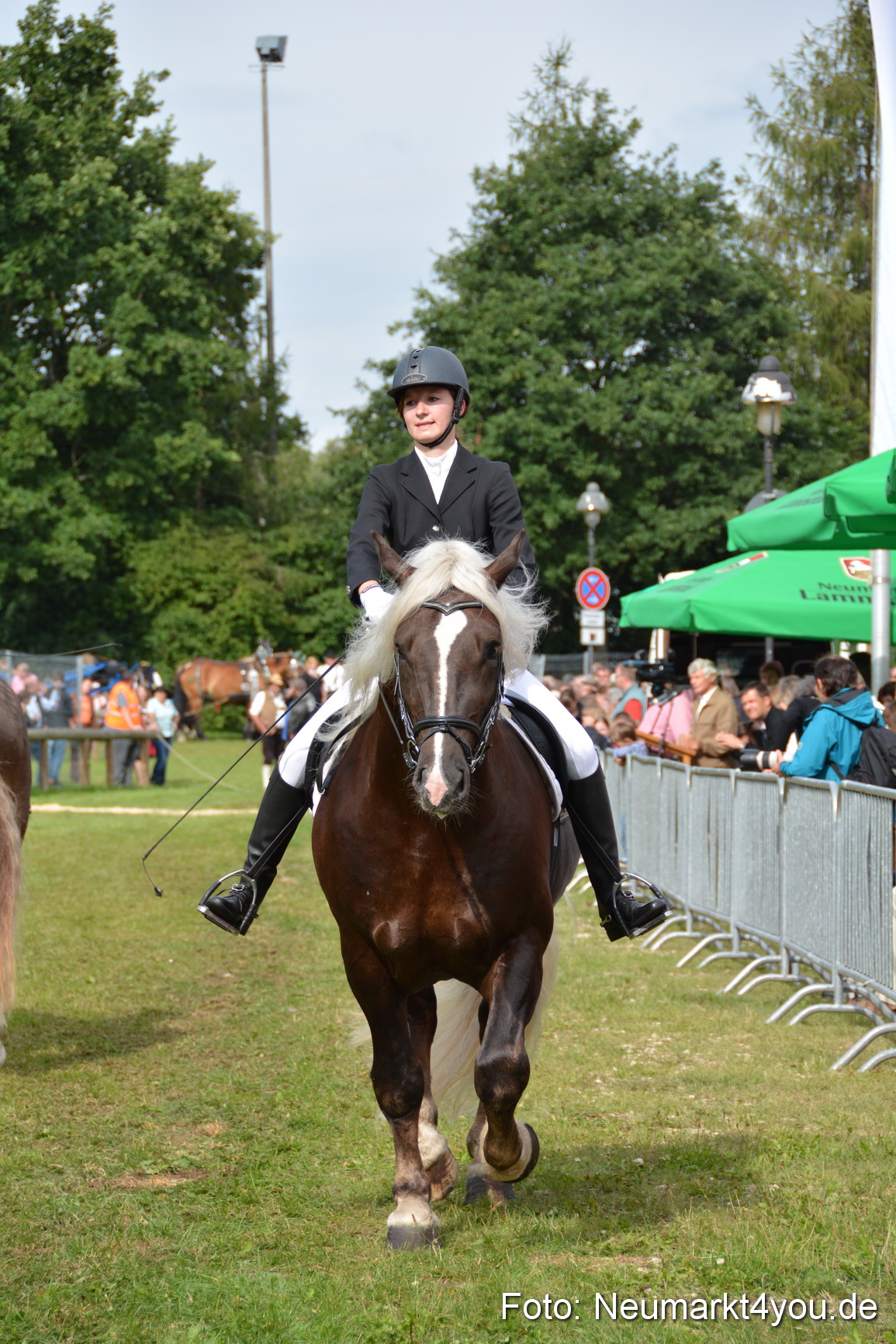 Pferdeschau JURA Volksfest 180814 0212
