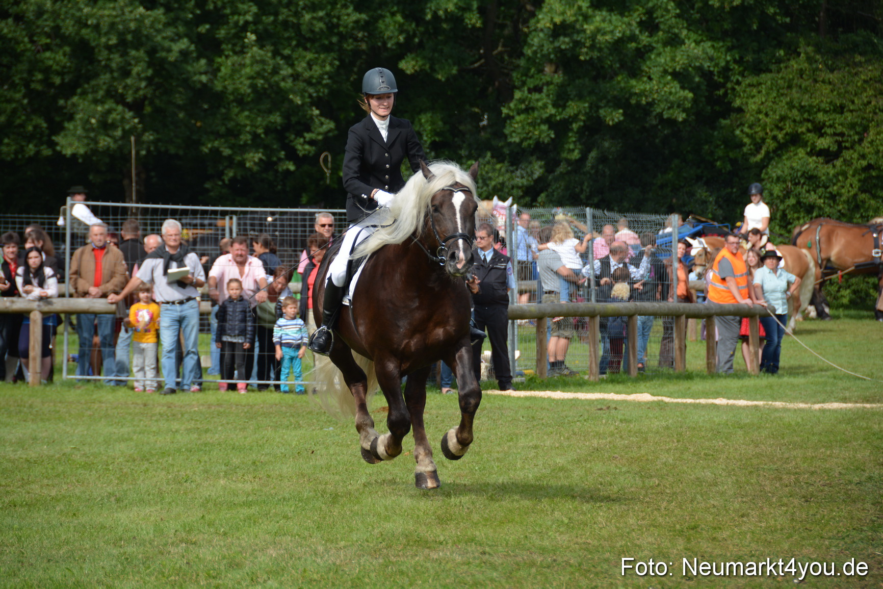 Pferdeschau JURA Volksfest 180814 0213