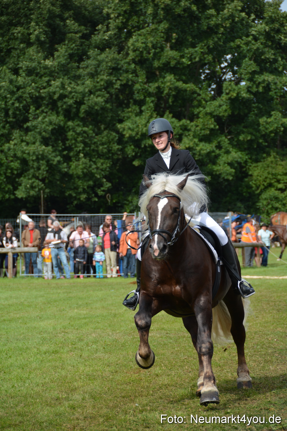 Pferdeschau JURA Volksfest 180814 0214