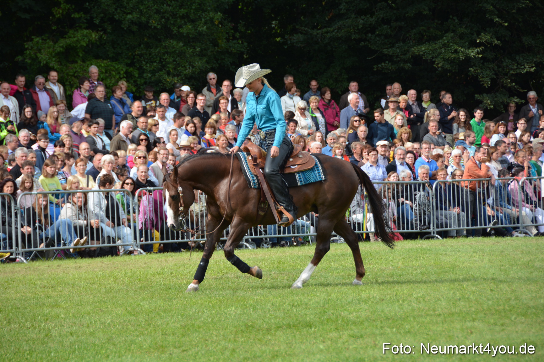 Pferdeschau JURA Volksfest 180814 0215