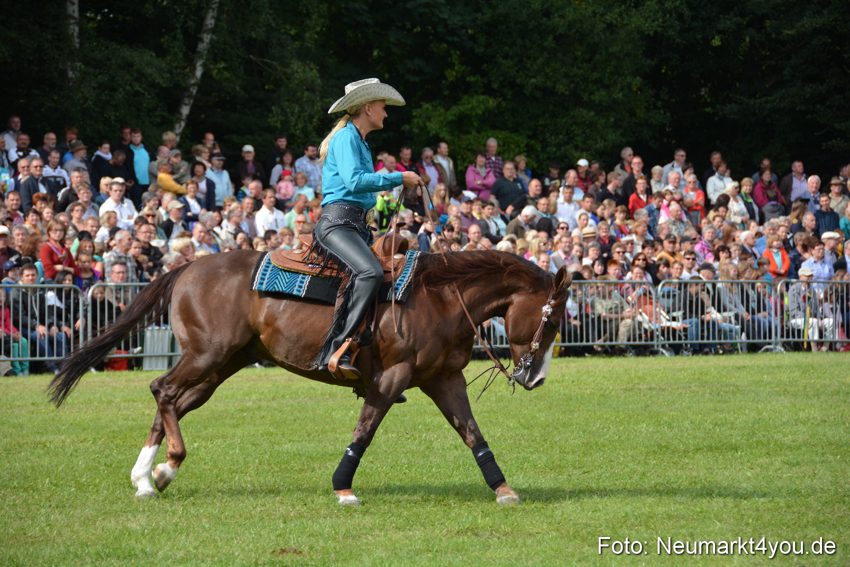 Pferdeschau JURA Volksfest 180814 0216